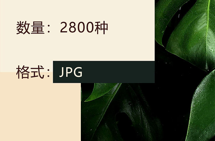 【榫卯结构展示图】2800张 合集