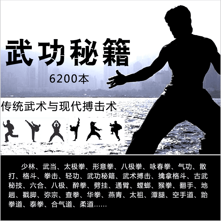 【武术】中华传统武术与现代搏击术_6200册