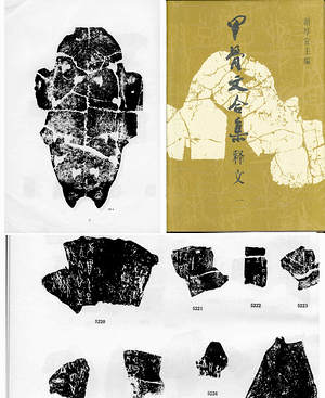 【甲骨文合集】（3.96G_17卷）