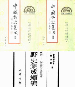 【中国野史集成续编】（2.03G_30卷）