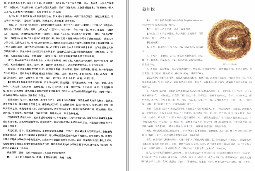 【中国传统工艺全集】中药炮制.pdf（68.8M）