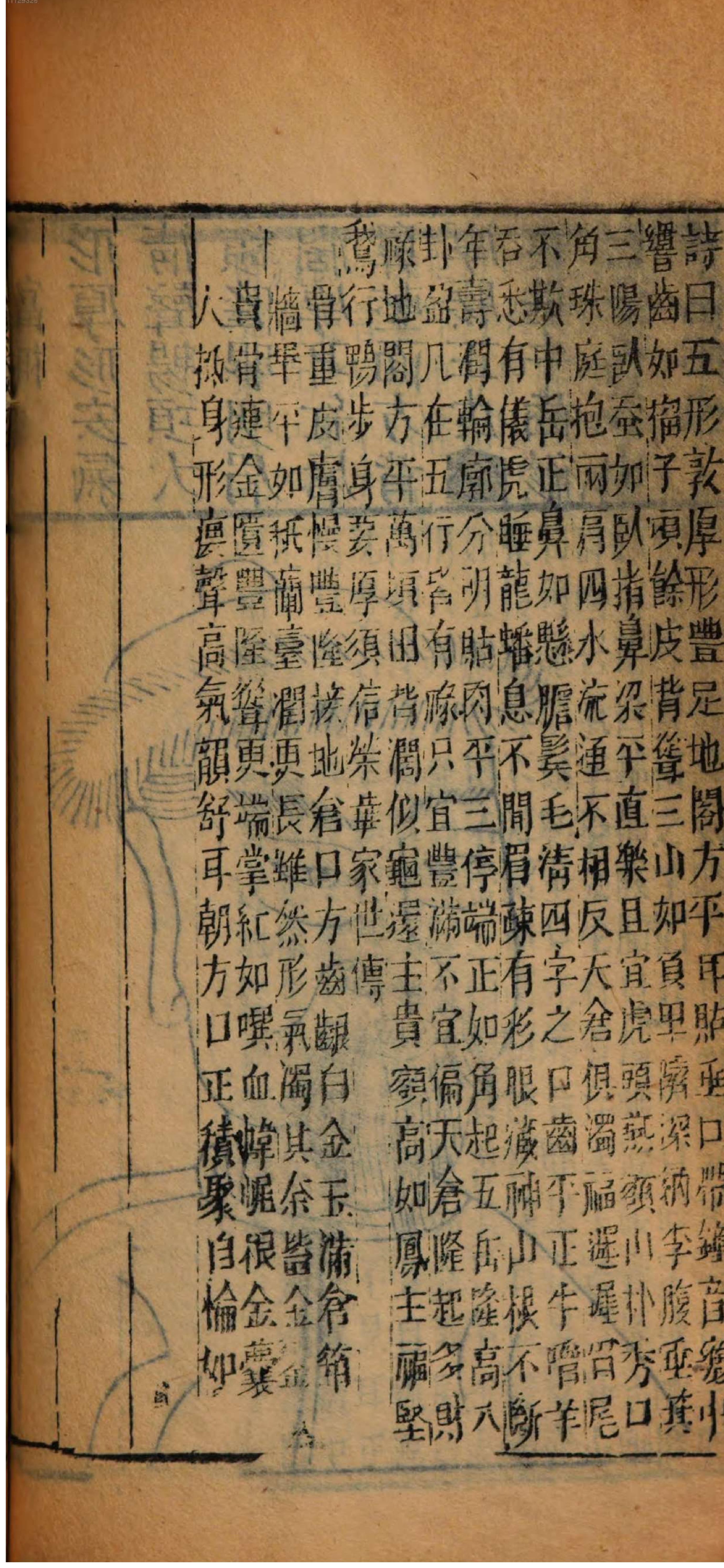 0191.人相水镜集全编.清.范騋纂.德国国家图书馆藏清康熙19年（1680）刊本.pdf_第19页