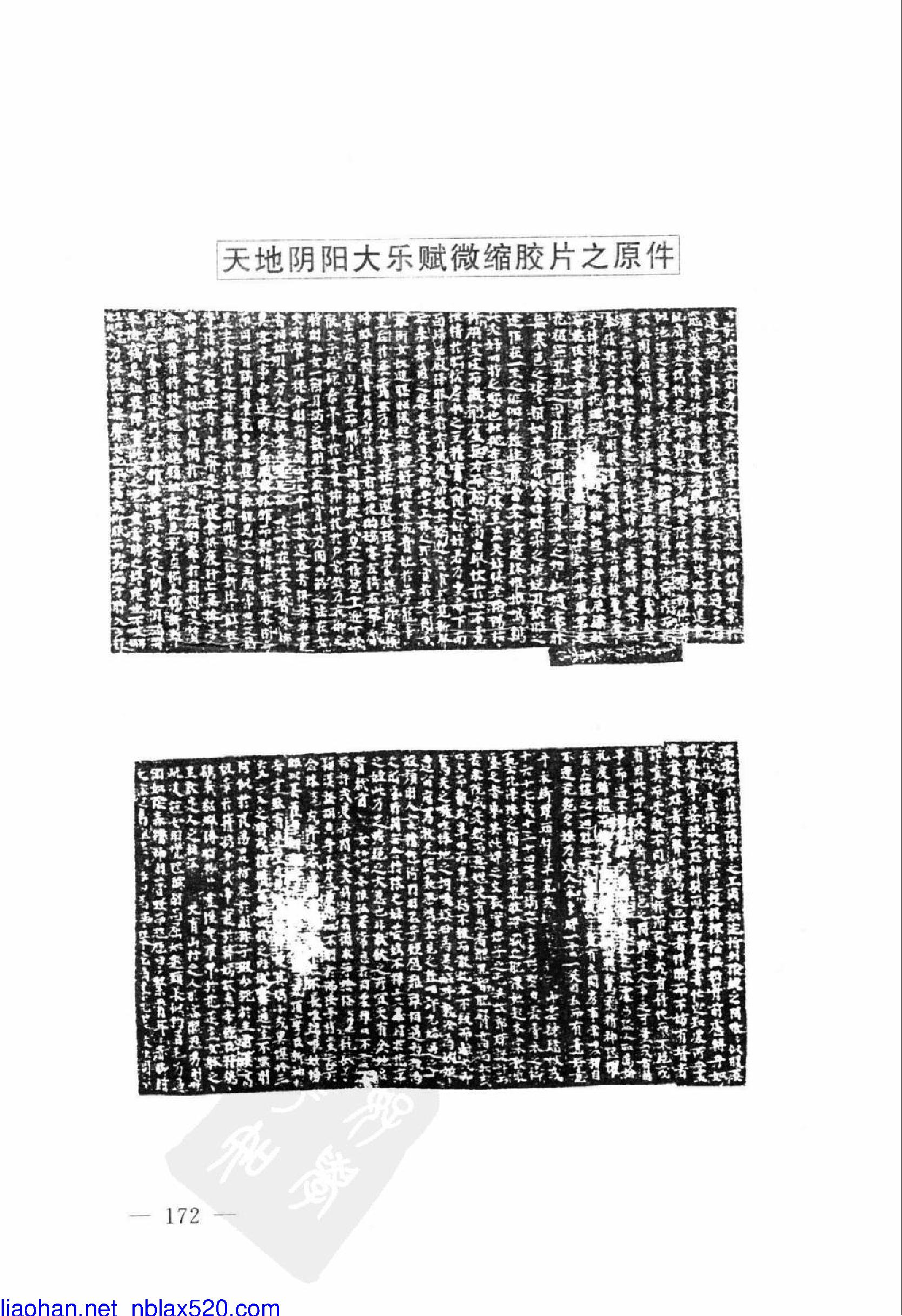 敦煌遗书中的《天地阴阳交欢大乐赋》原图扫描版.pdf_第5页