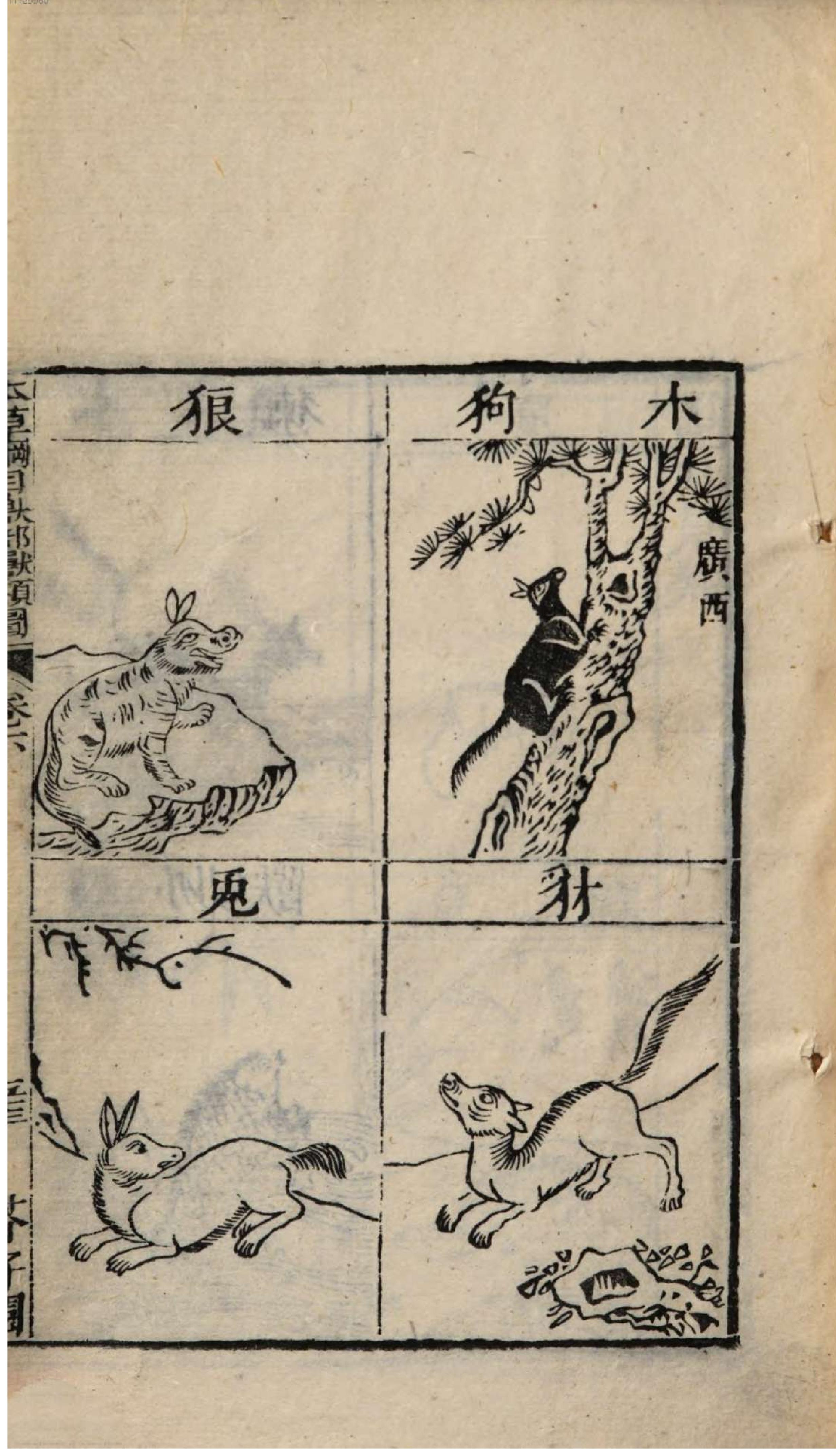 芥子园重订本草纲目. 1, 1 ce _ Ben cao wan fang zhen xian1-8, Tu juan 1-3.pdf_第19页