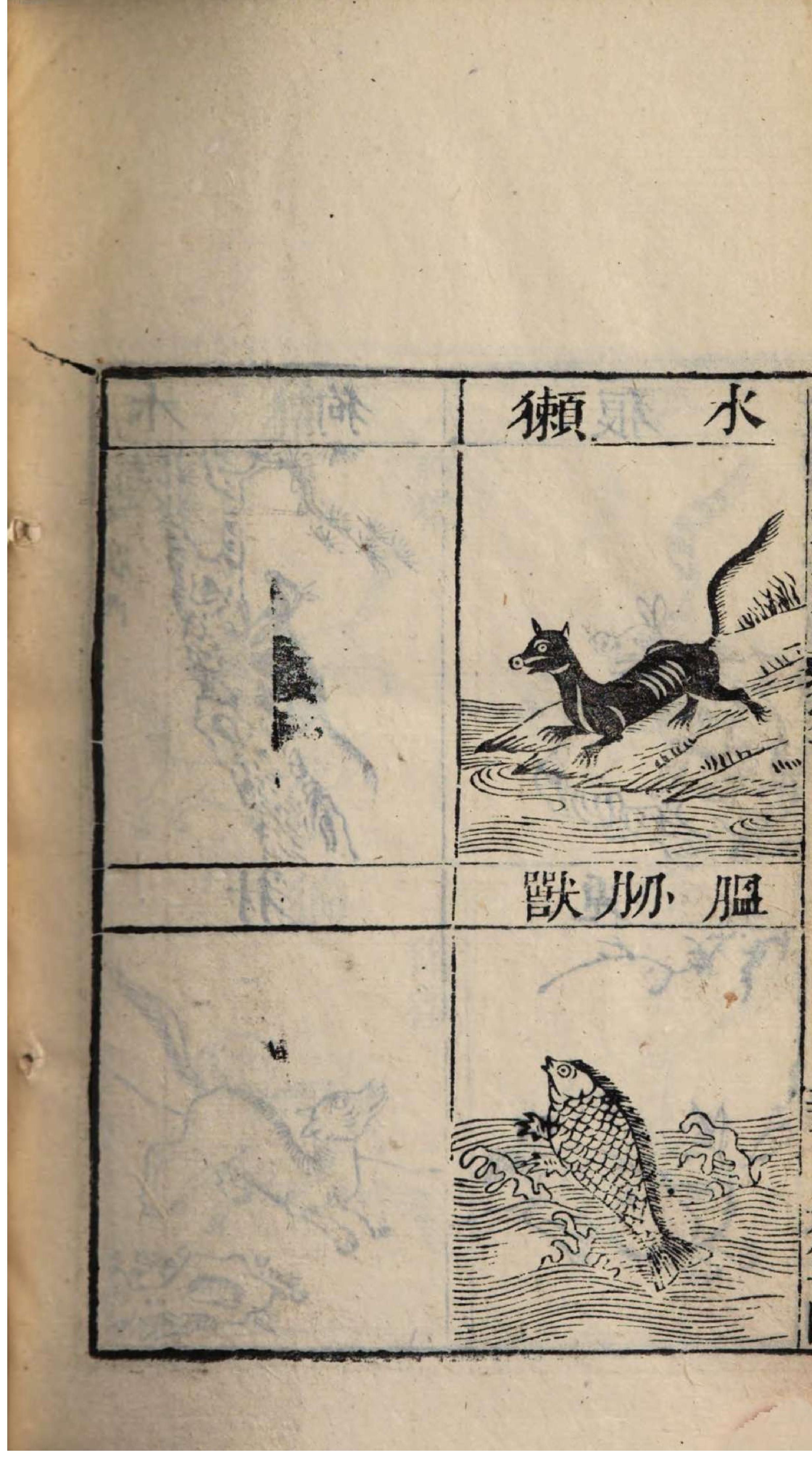 芥子园重订本草纲目. 1, 1 ce _ Ben cao wan fang zhen xian1-8, Tu juan 1-3.pdf_第18页