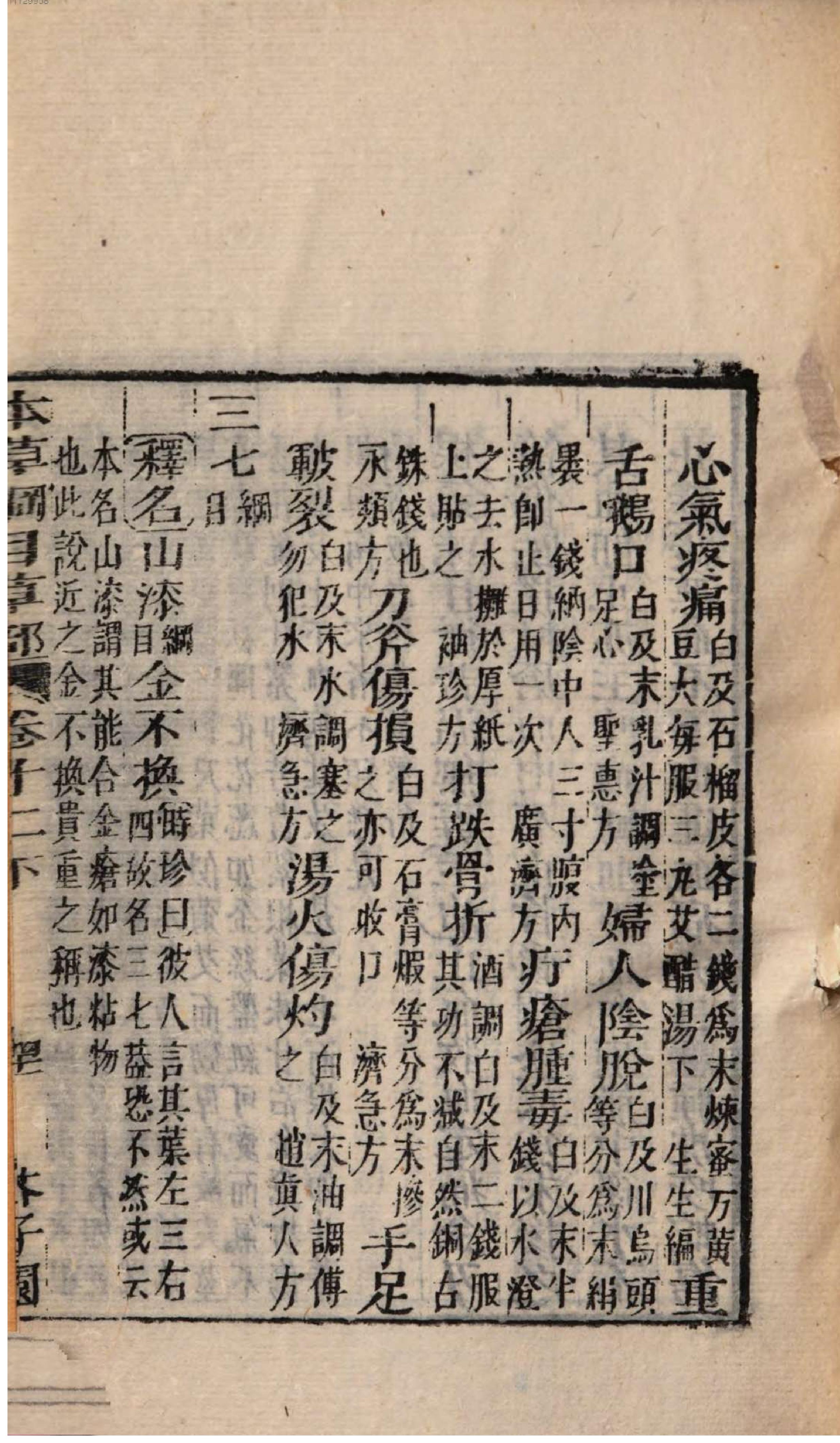 芥子园重订本草纲目. 3, 3 ce _ Ben cao gang mu ch. 5-12.pdf_第13页