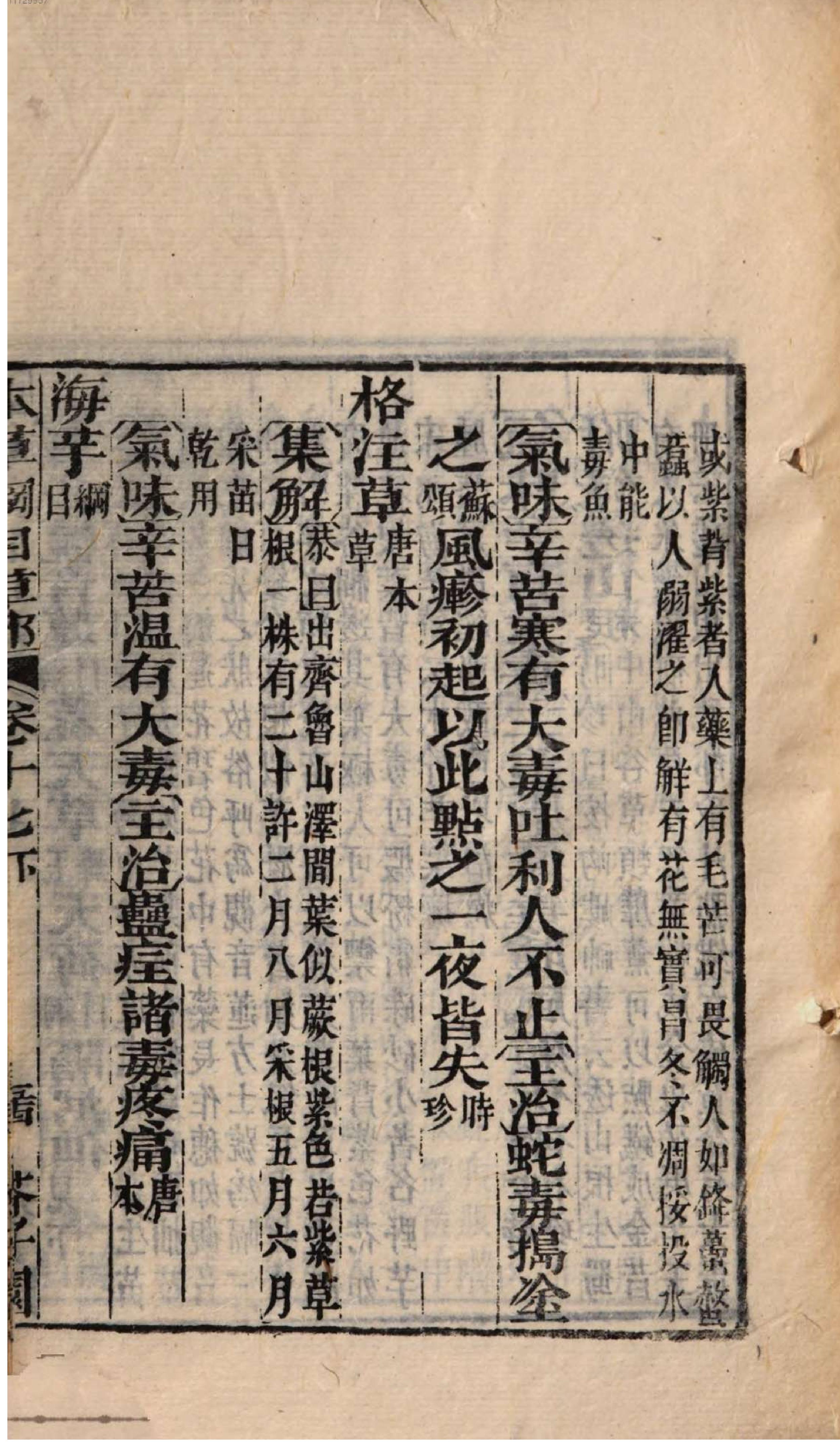 芥子园重订本草纲目. 4, 4 ce _ ch. 13-17.pdf_第17页