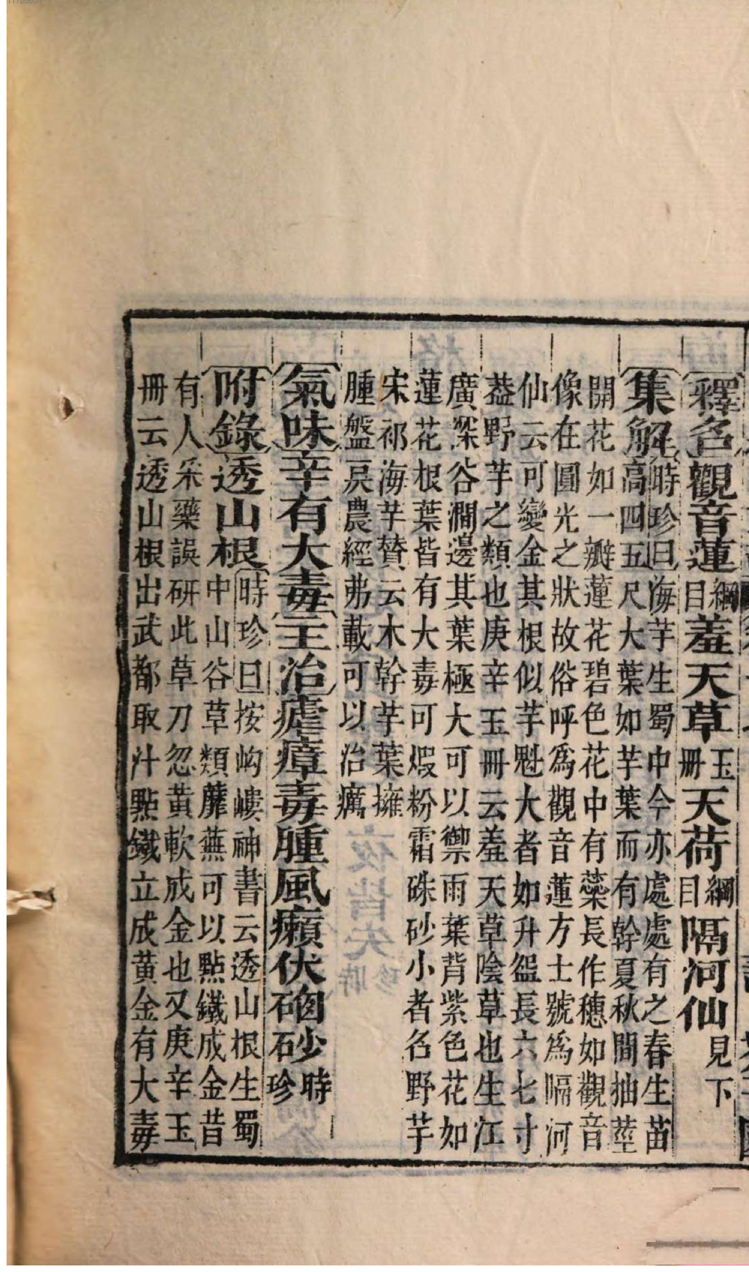 芥子园重订本草纲目. 4, 4 ce _ ch. 13-17.pdf_第16页