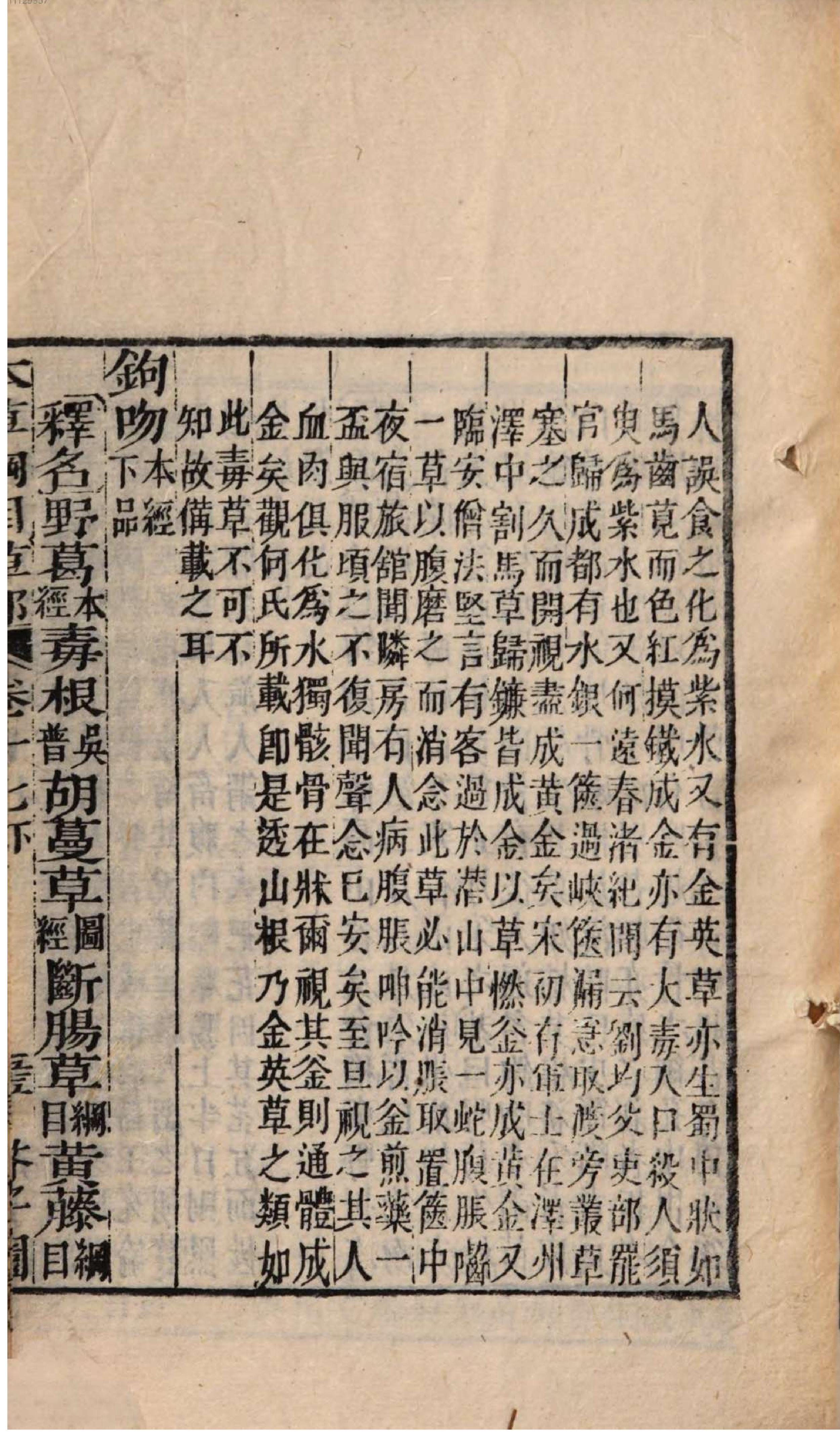 芥子园重订本草纲目. 4, 4 ce _ ch. 13-17.pdf_第15页