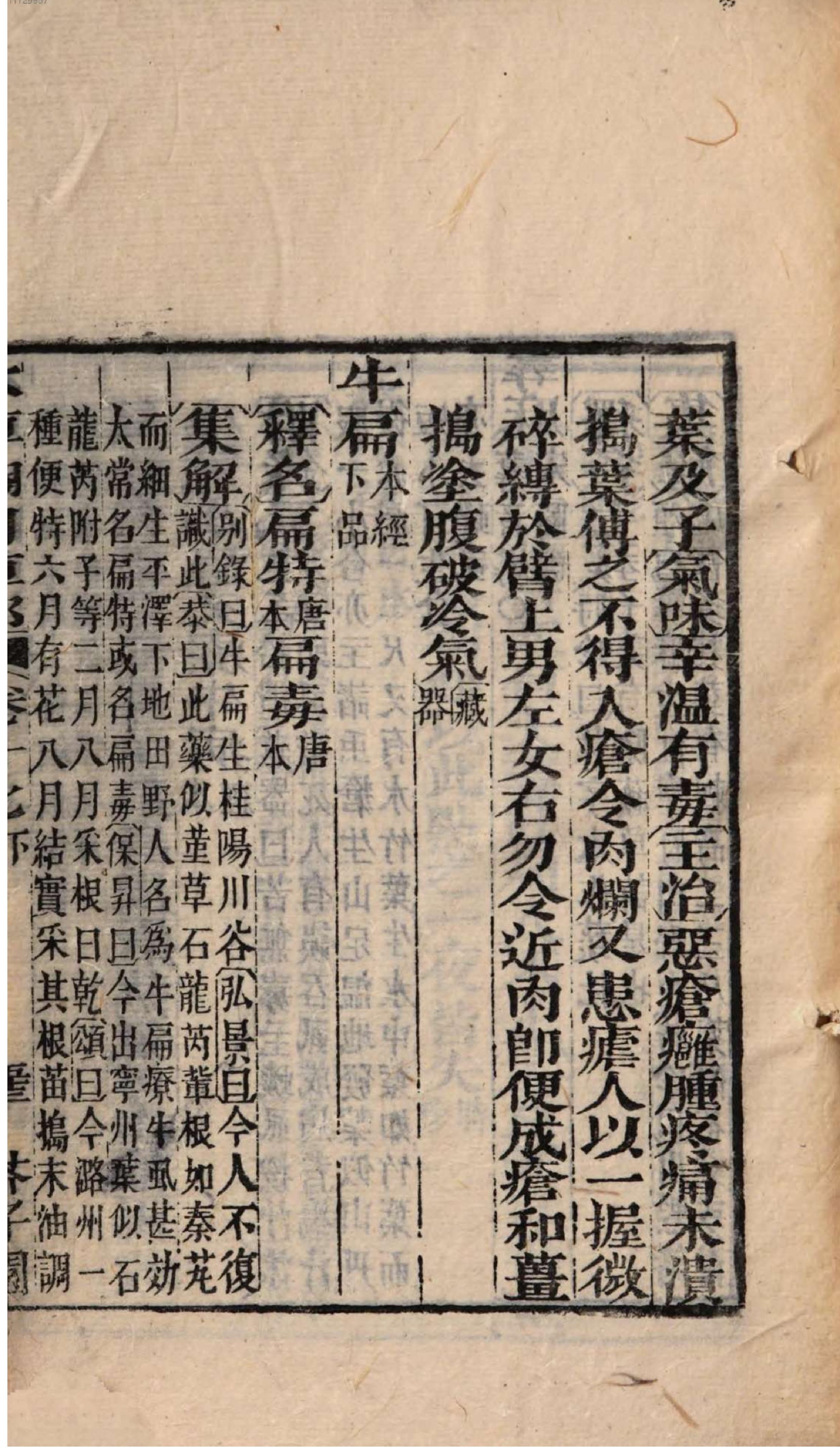 芥子园重订本草纲目. 4, 4 ce _ ch. 13-17.pdf_第19页