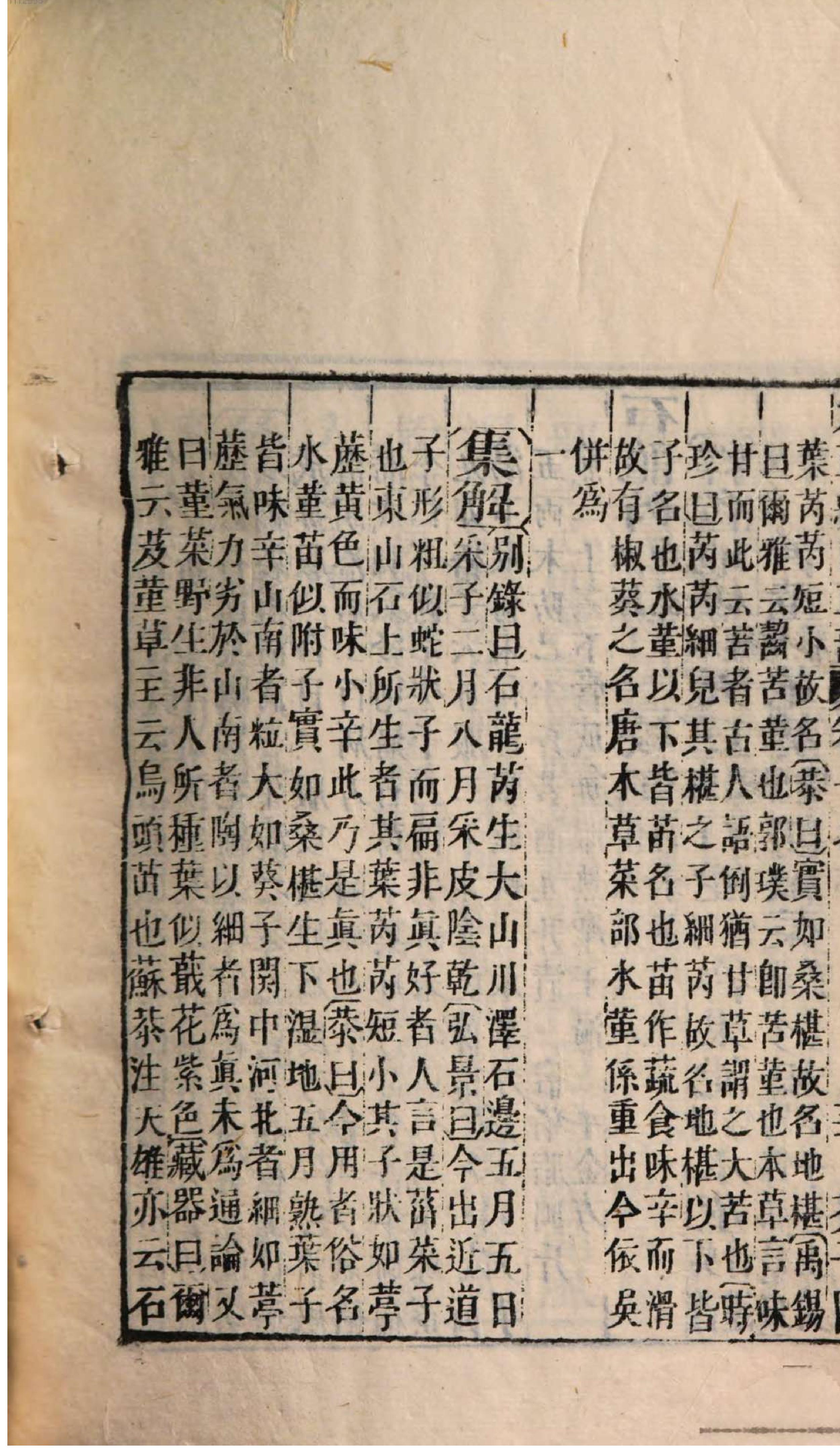 芥子园重订本草纲目. 4, 4 ce _ ch. 13-17.pdf_第24页