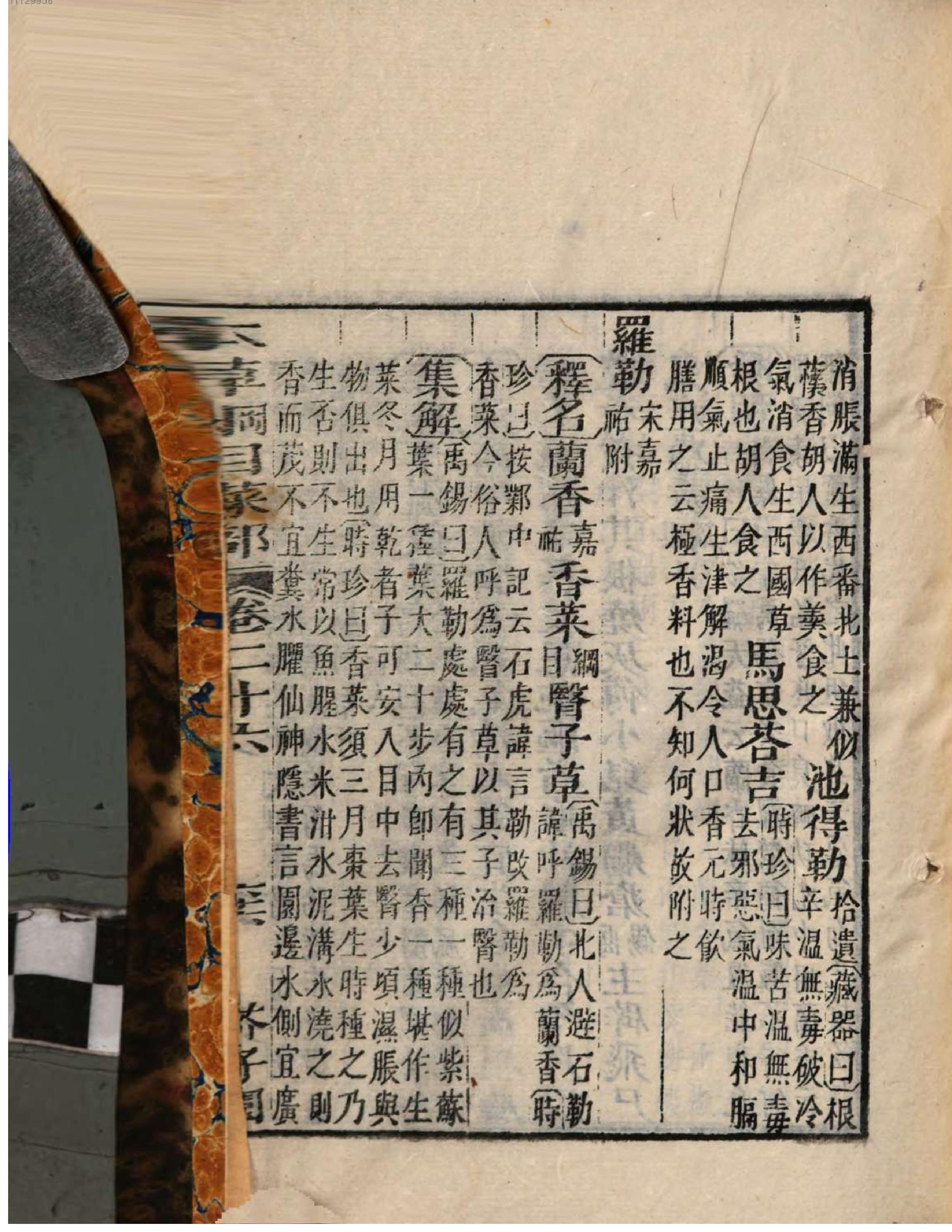 芥子园重订本草纲目. 5, 5 ce _ ch. 18-26.pdf_第15页