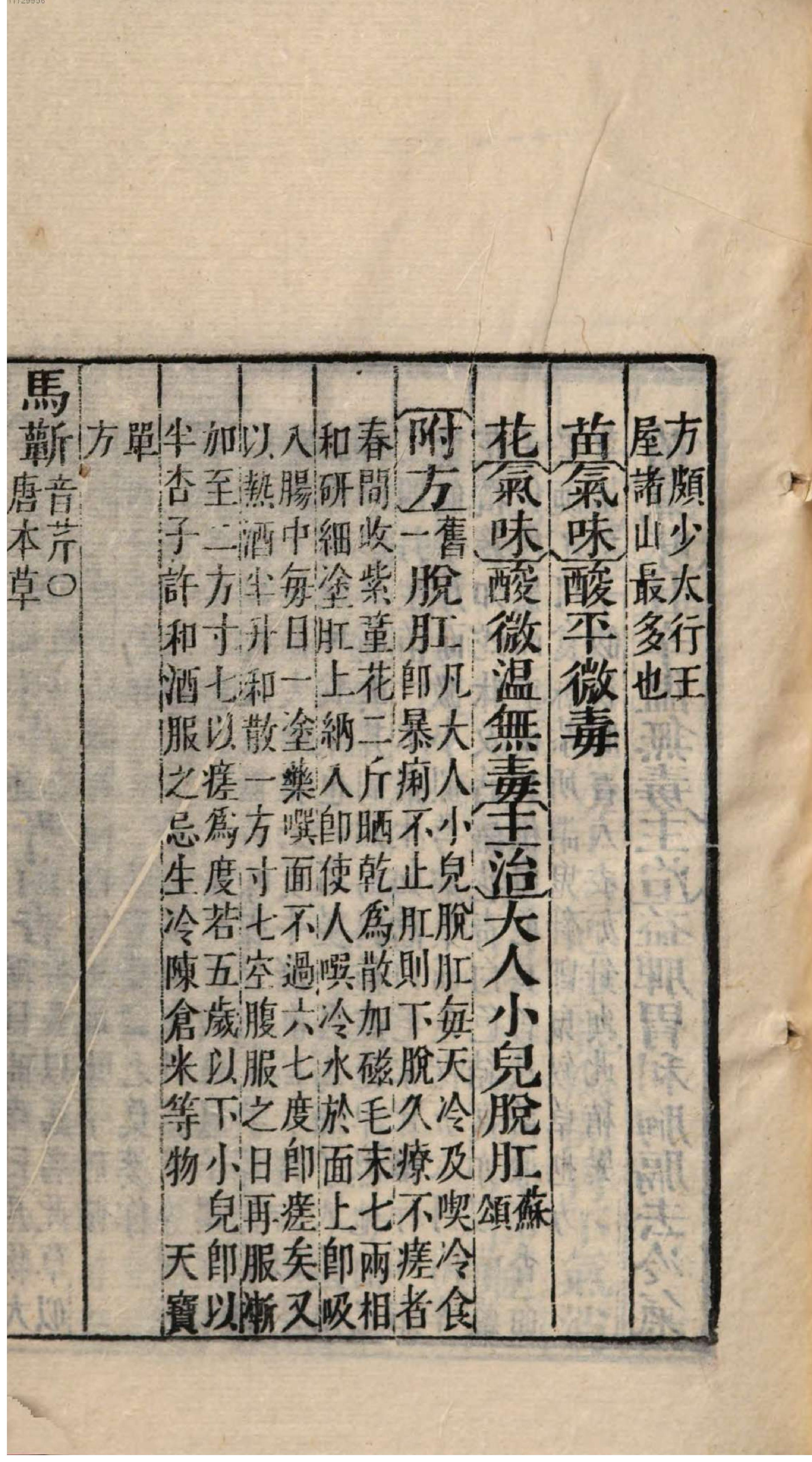 芥子园重订本草纲目. 5, 5 ce _ ch. 18-26.pdf_第25页