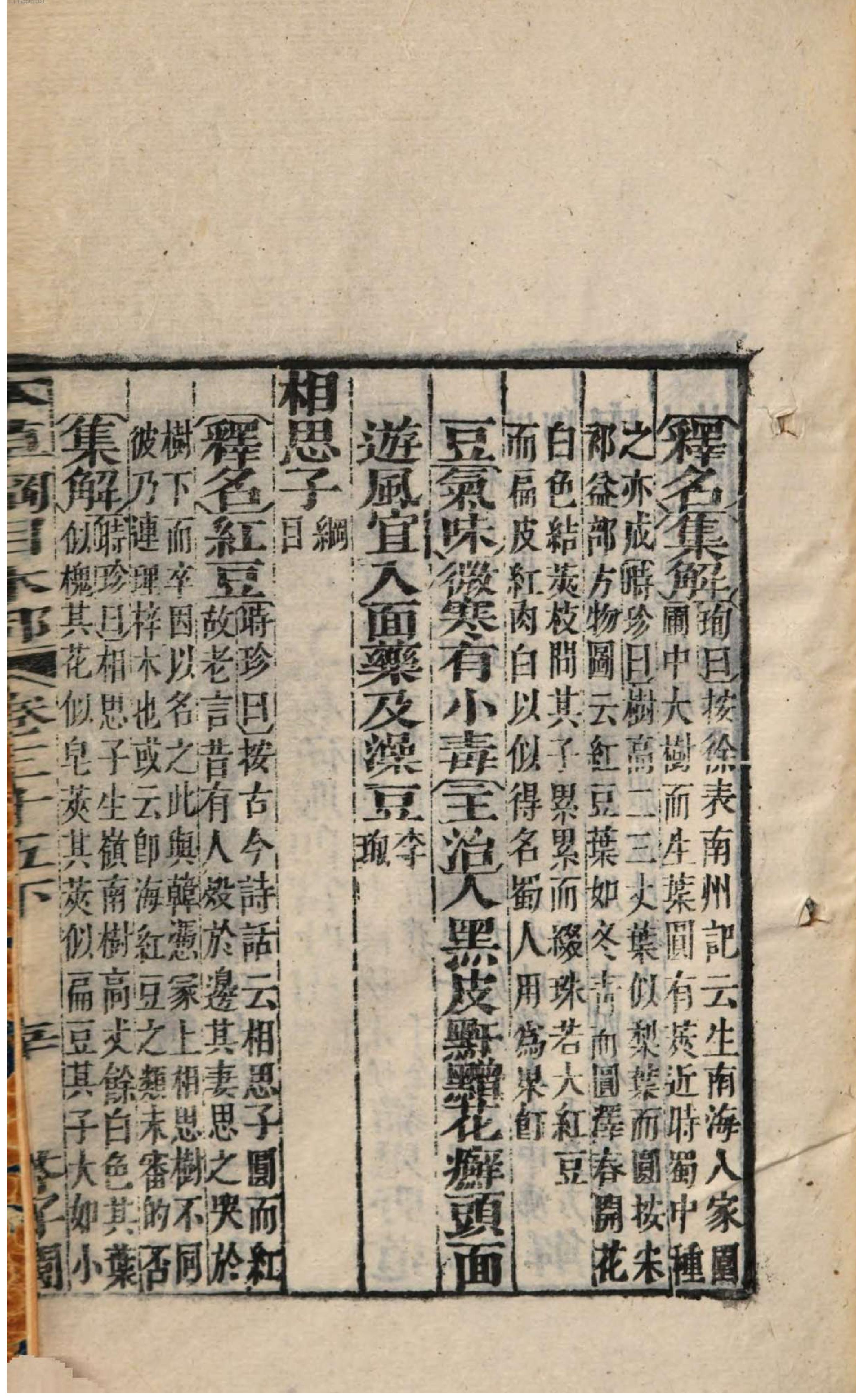 芥子园重订本草纲目. 6, 6 ce _ ch. 27-35.pdf_第13页