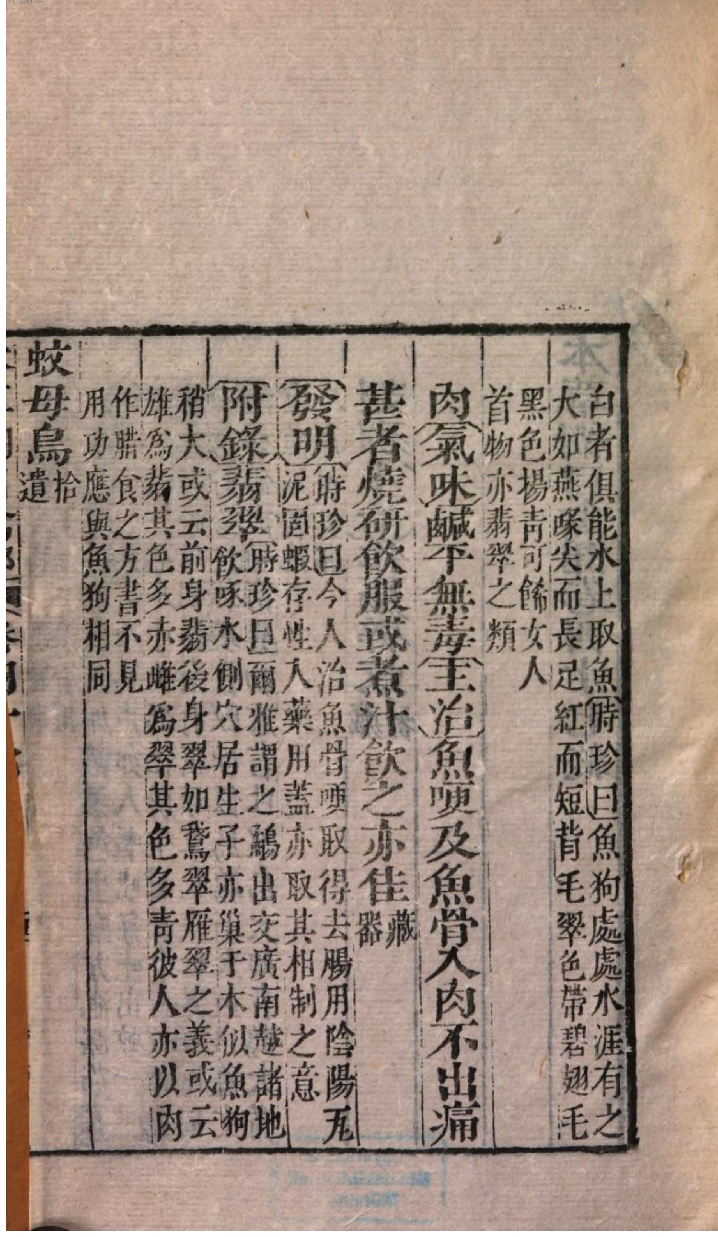 芥子园重订本草纲目. 7, 7 ce _ ch. 36-47.pdf_第11页