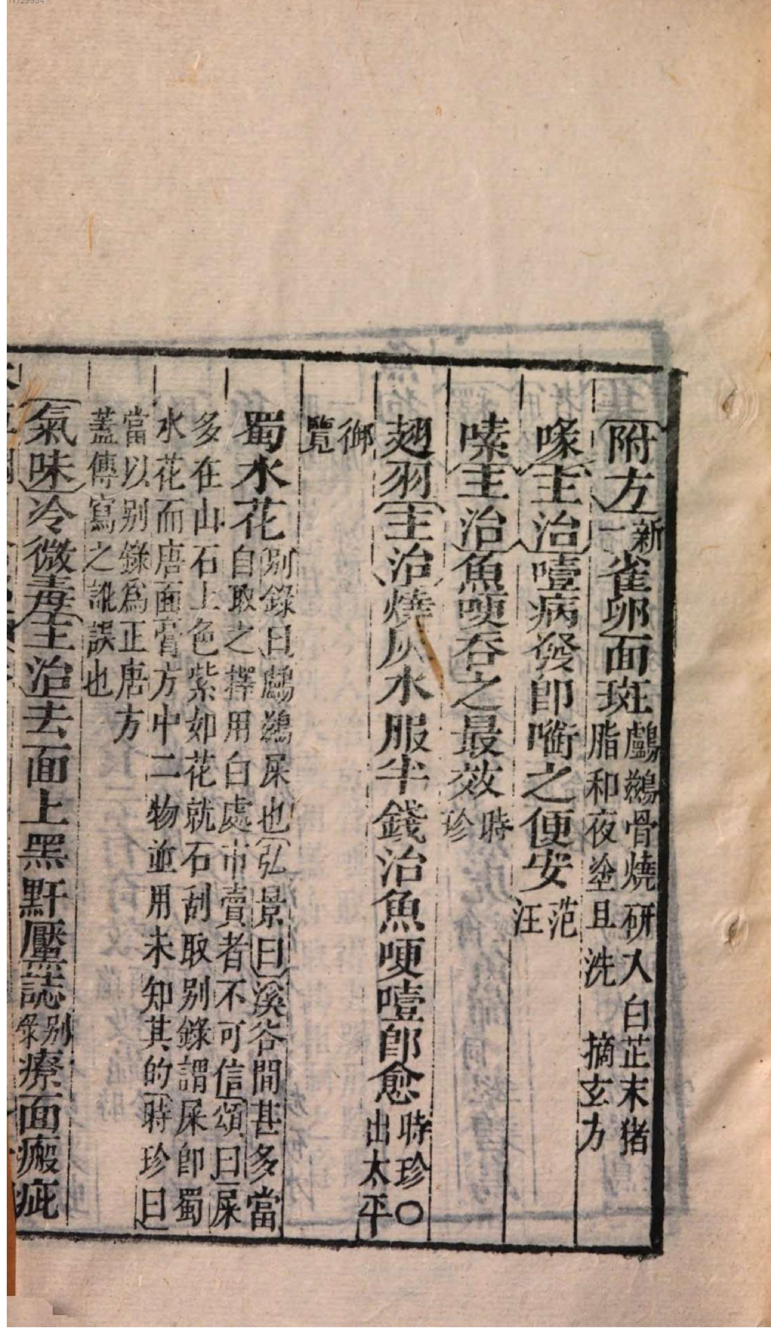 芥子园重订本草纲目. 7, 7 ce _ ch. 36-47.pdf_第13页