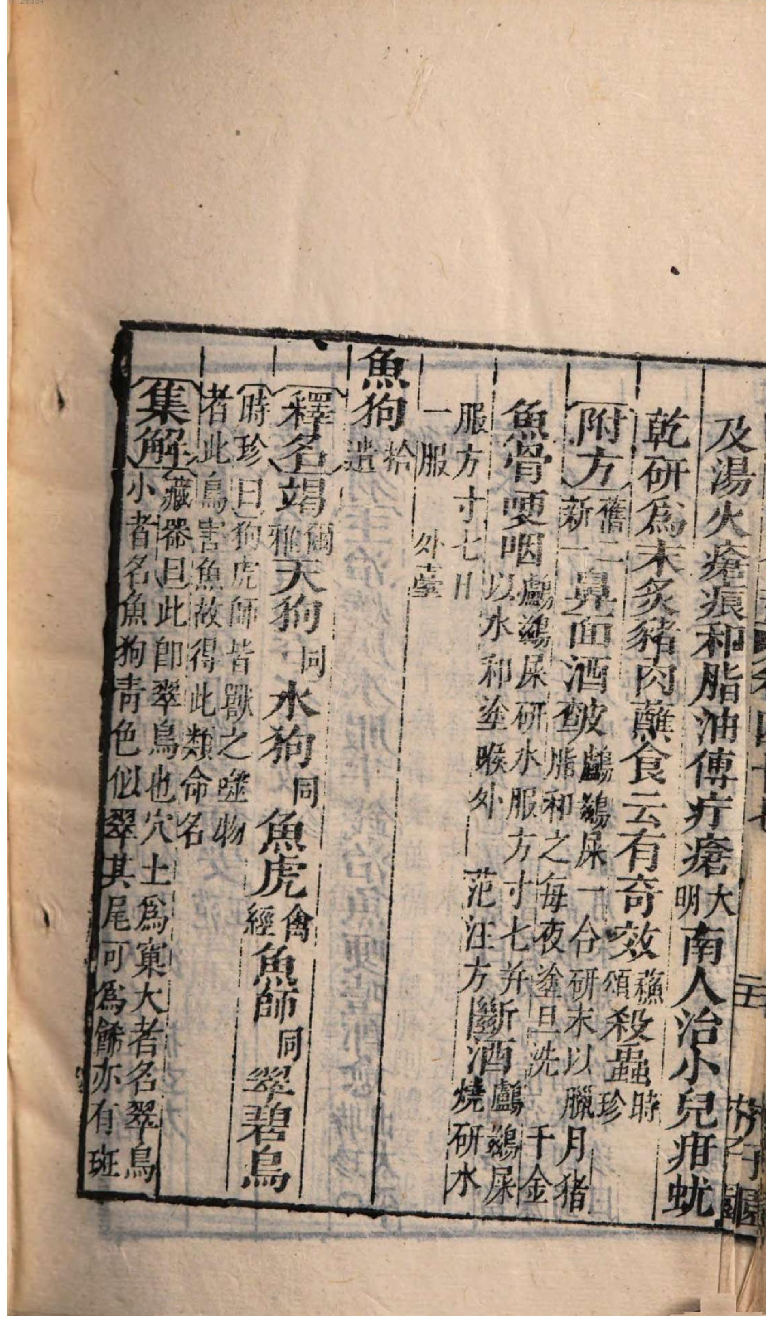 芥子园重订本草纲目. 7, 7 ce _ ch. 36-47.pdf_第12页