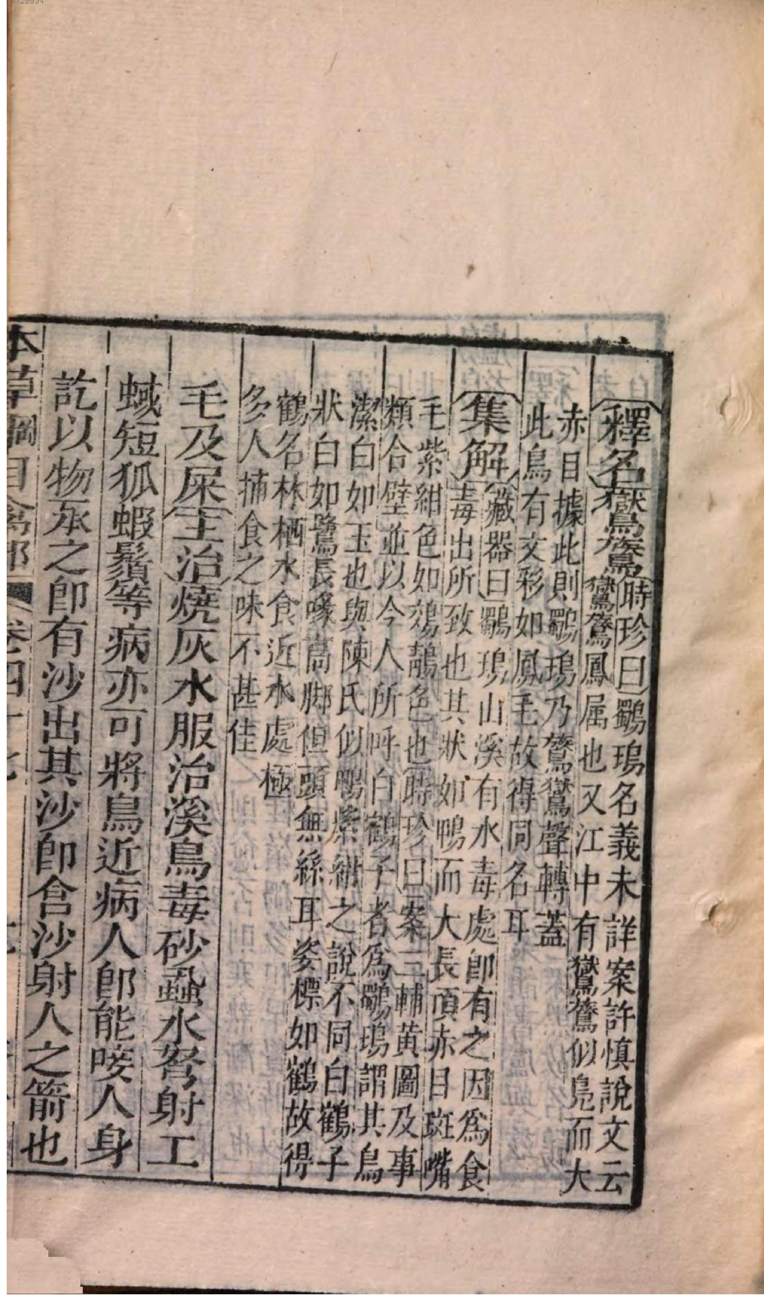 芥子园重订本草纲目. 7, 7 ce _ ch. 36-47.pdf_第17页