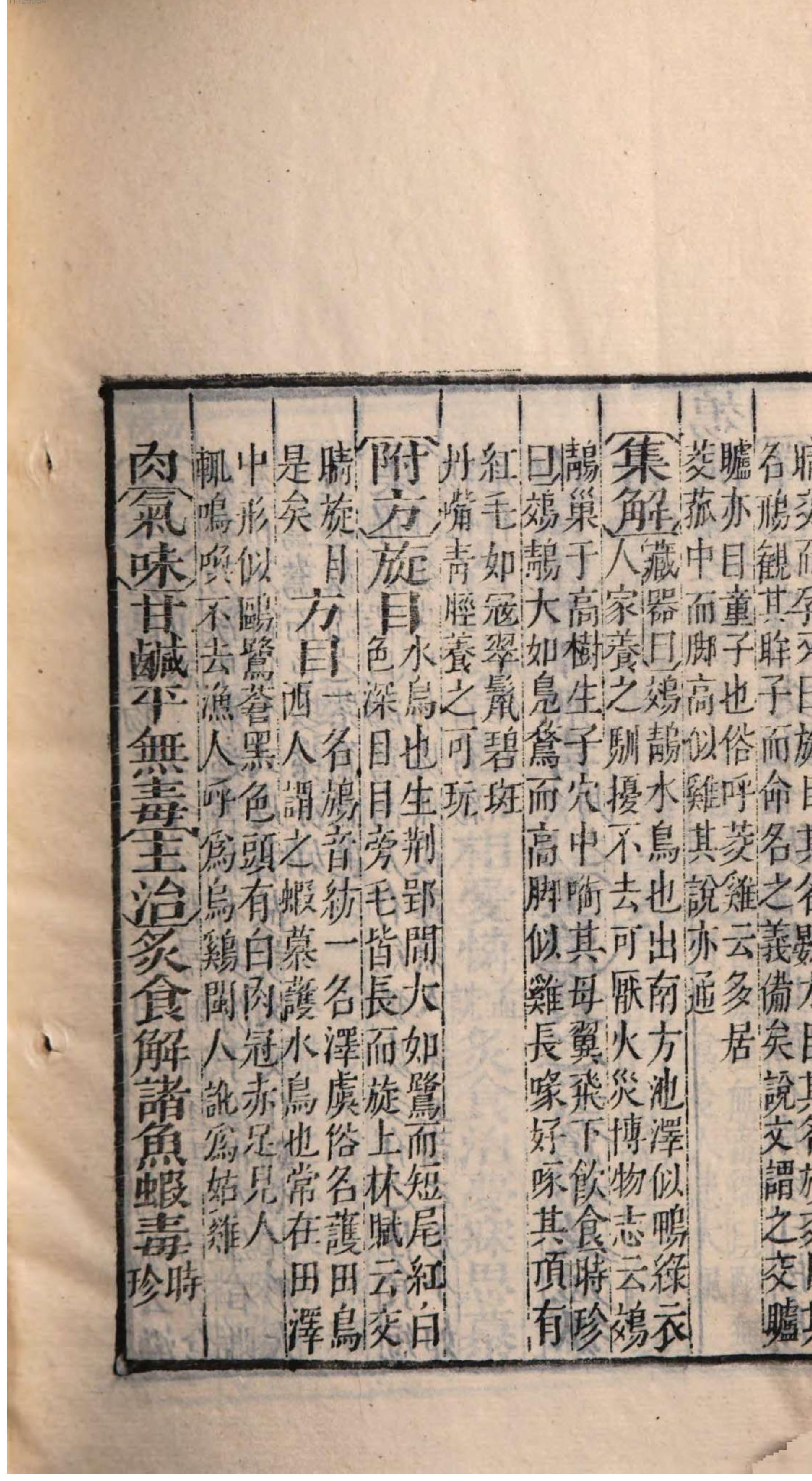 芥子园重订本草纲目. 7, 7 ce _ ch. 36-47.pdf_第20页