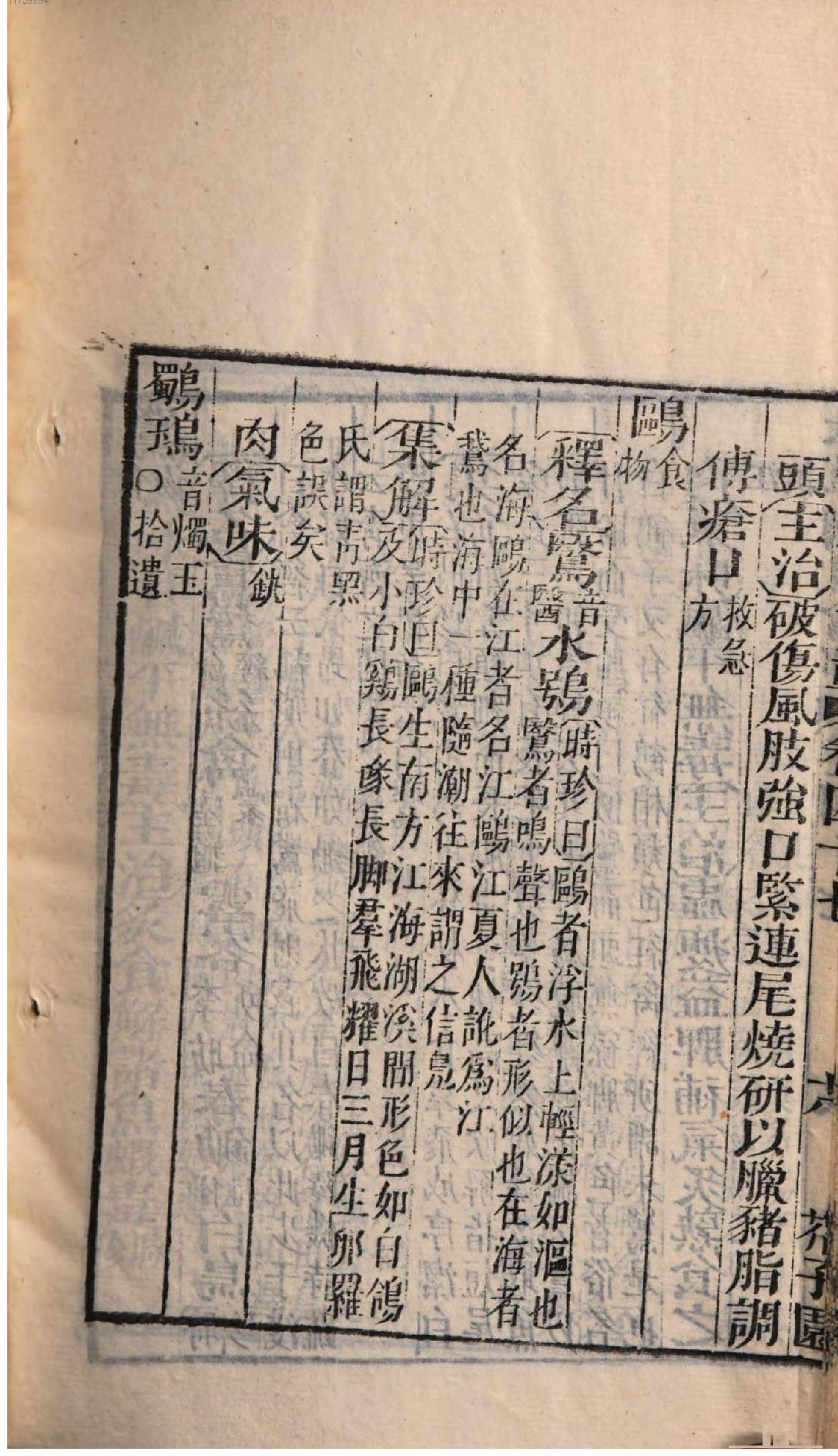 芥子园重订本草纲目. 7, 7 ce _ ch. 36-47.pdf_第18页