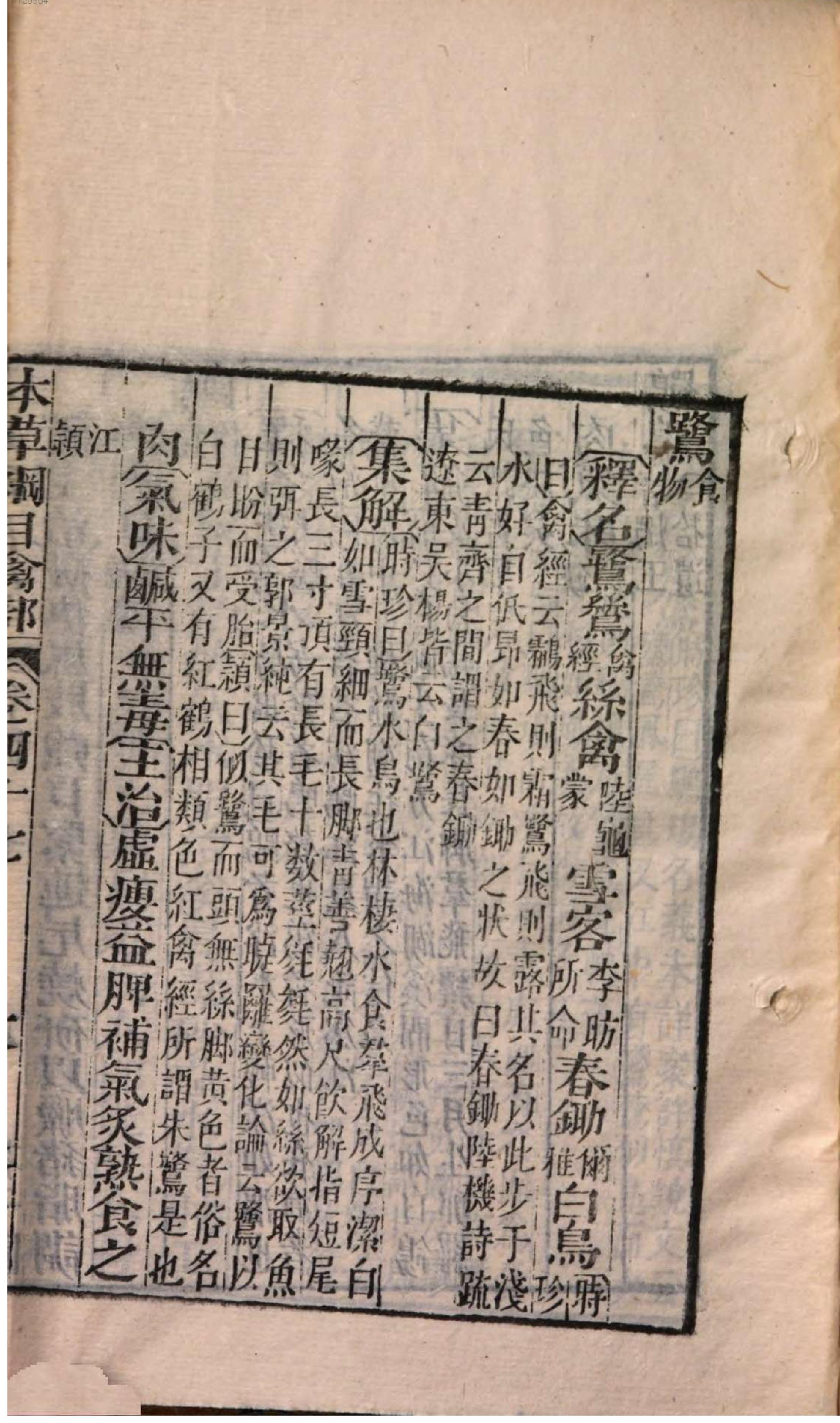 芥子园重订本草纲目. 7, 7 ce _ ch. 36-47.pdf_第19页