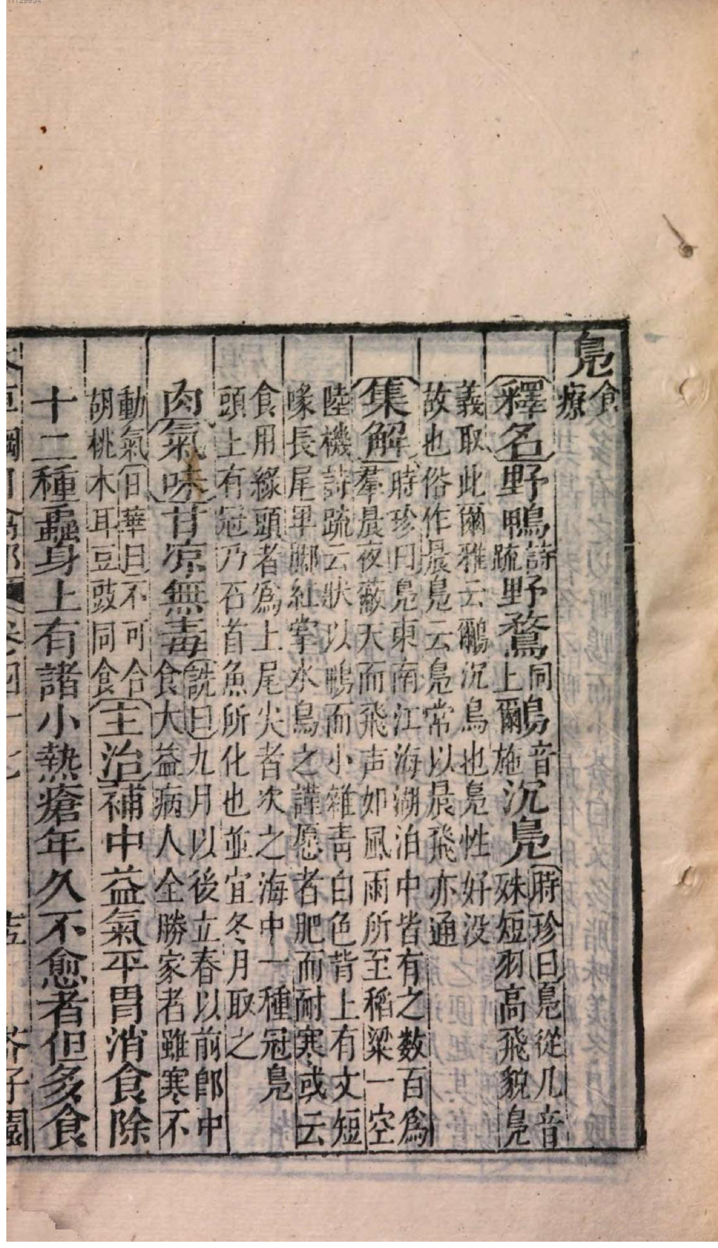 芥子园重订本草纲目. 7, 7 ce _ ch. 36-47.pdf_第25页