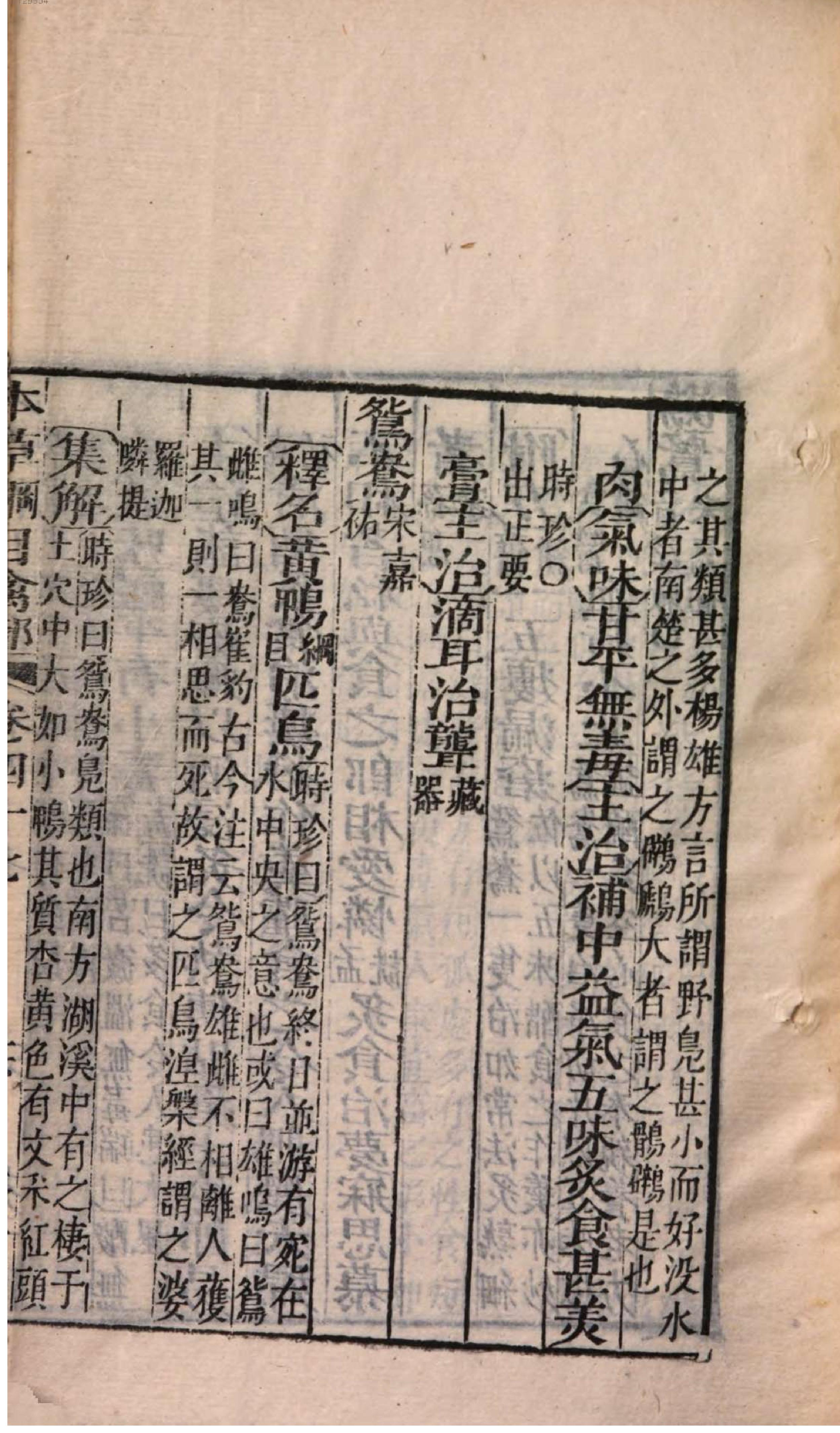 芥子园重订本草纲目. 7, 7 ce _ ch. 36-47.pdf_第23页