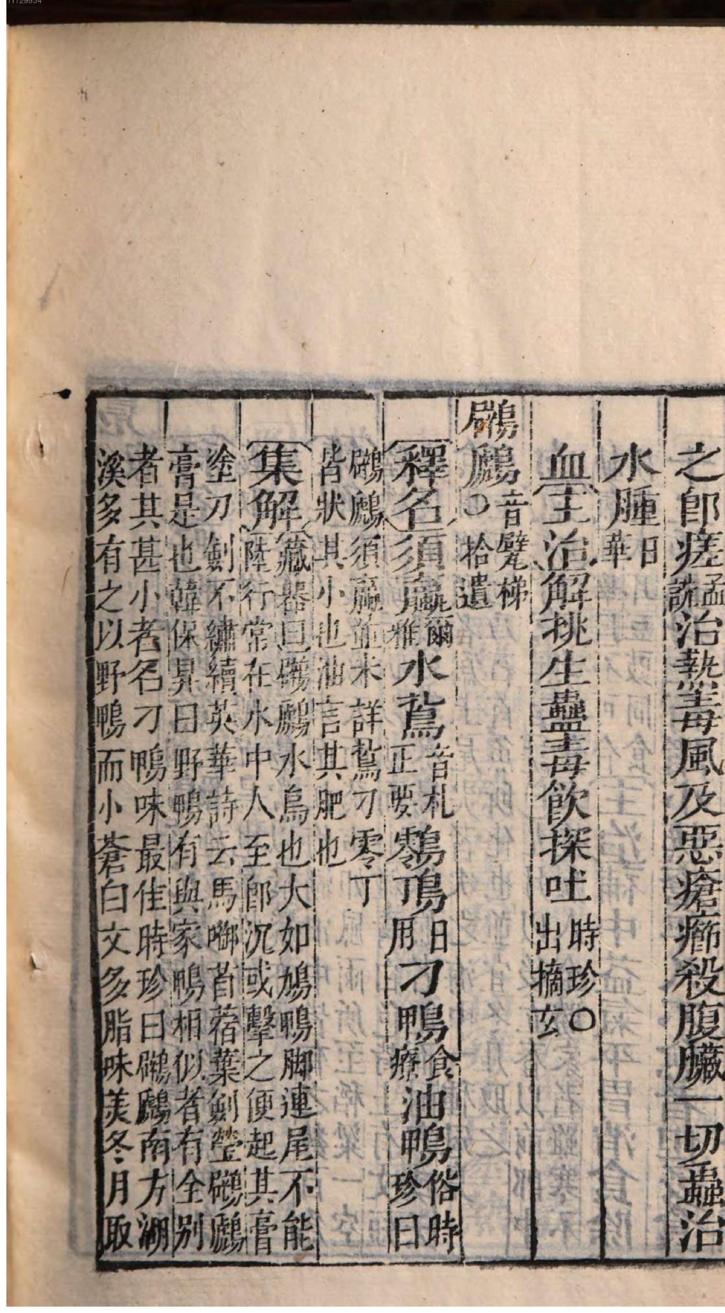 芥子园重订本草纲目. 7, 7 ce _ ch. 36-47.pdf_第24页