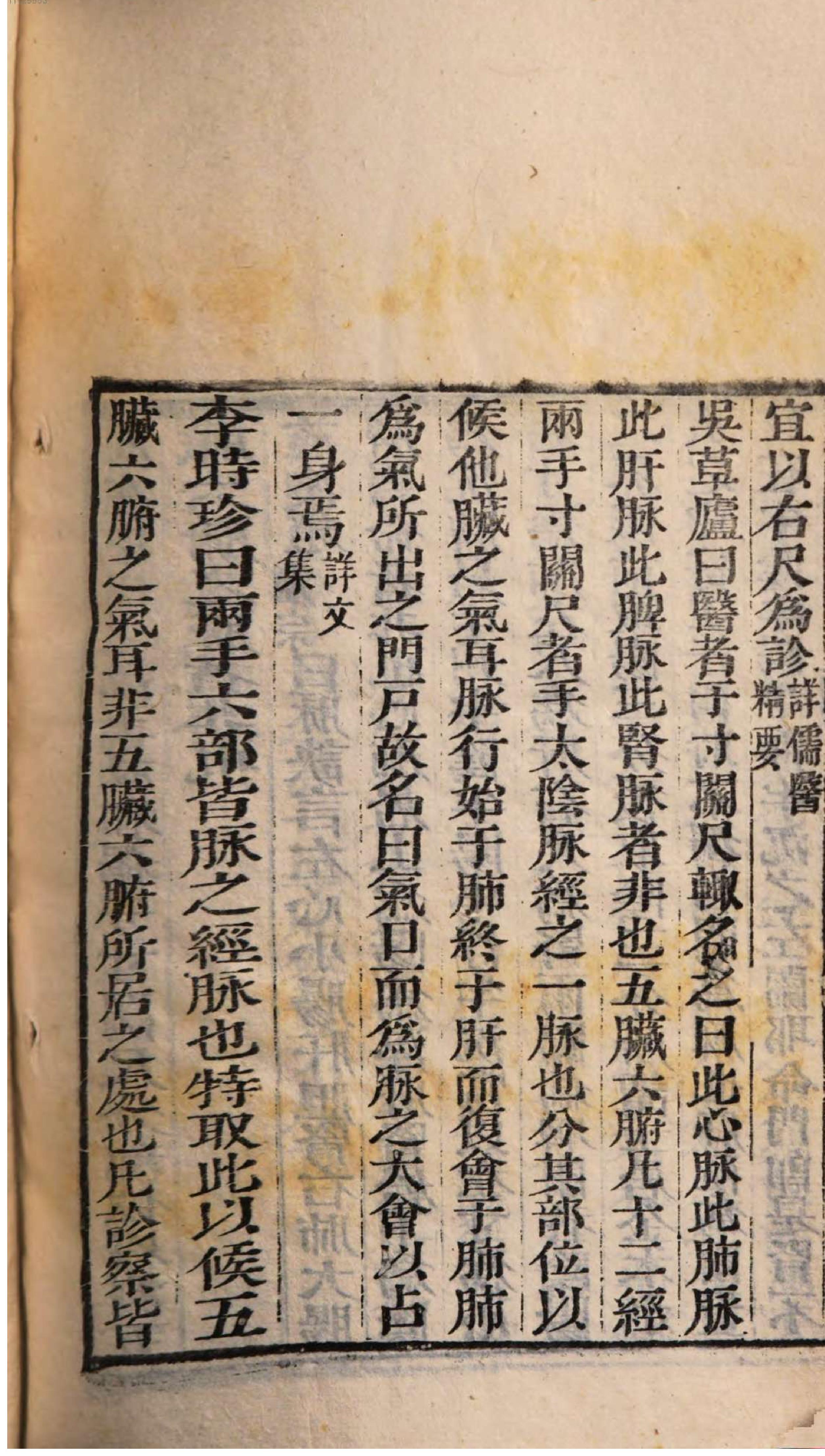 芥子园重订本草纲目. 8, 8 ce _ ch. 48-52.pdf_第12页