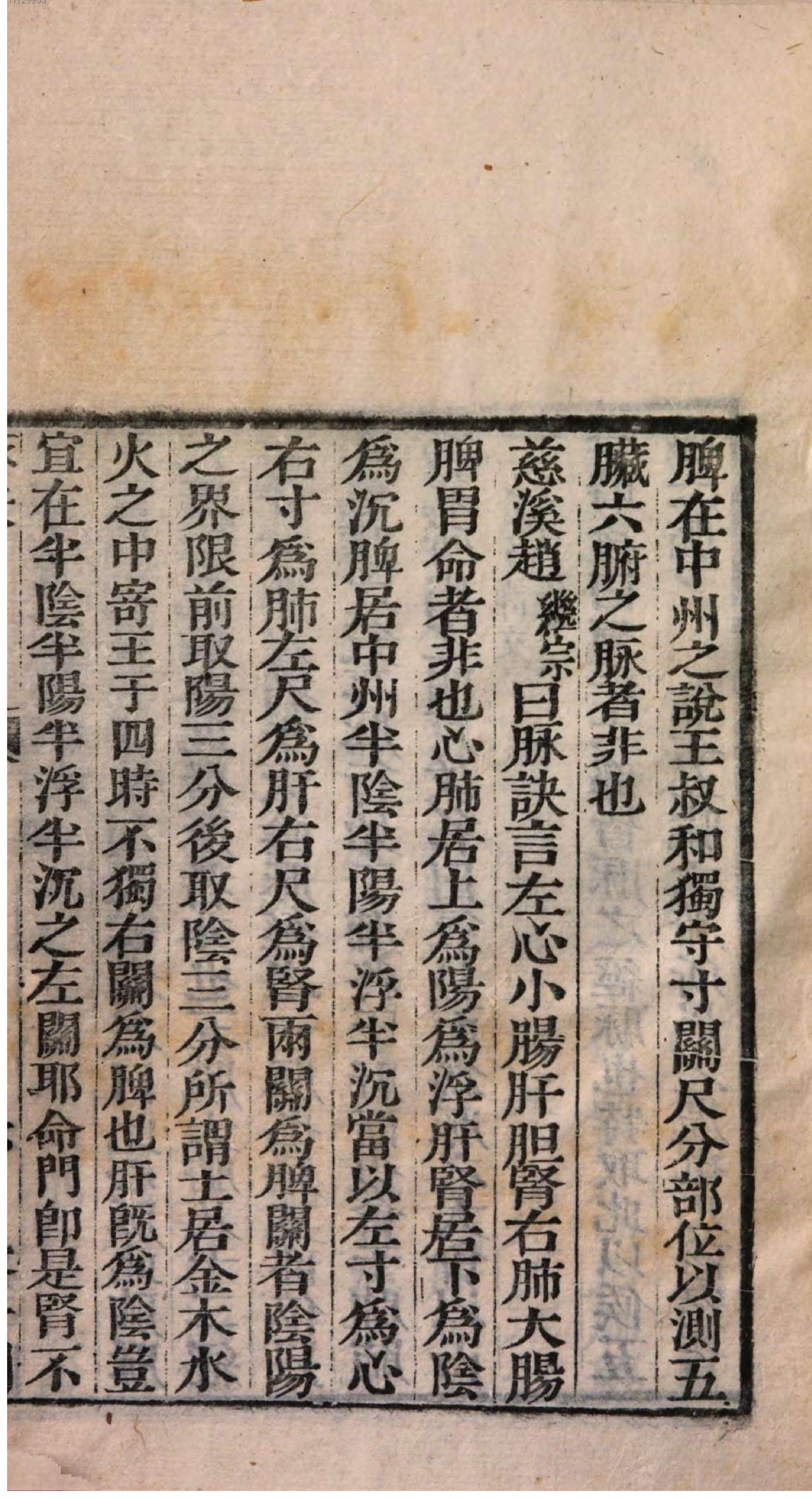 芥子园重订本草纲目. 8, 8 ce _ ch. 48-52.pdf_第13页