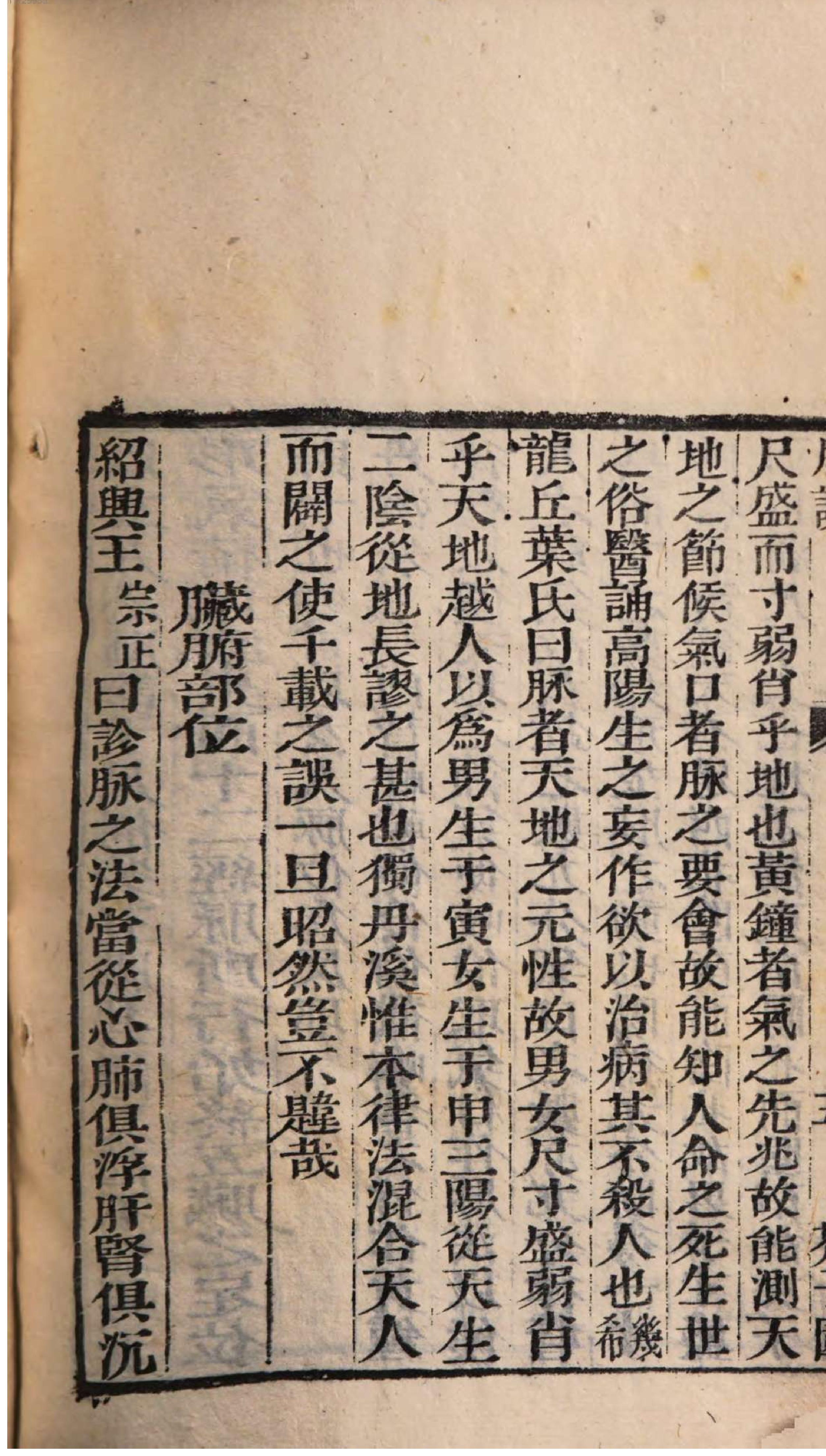 芥子园重订本草纲目. 8, 8 ce _ ch. 48-52.pdf_第14页