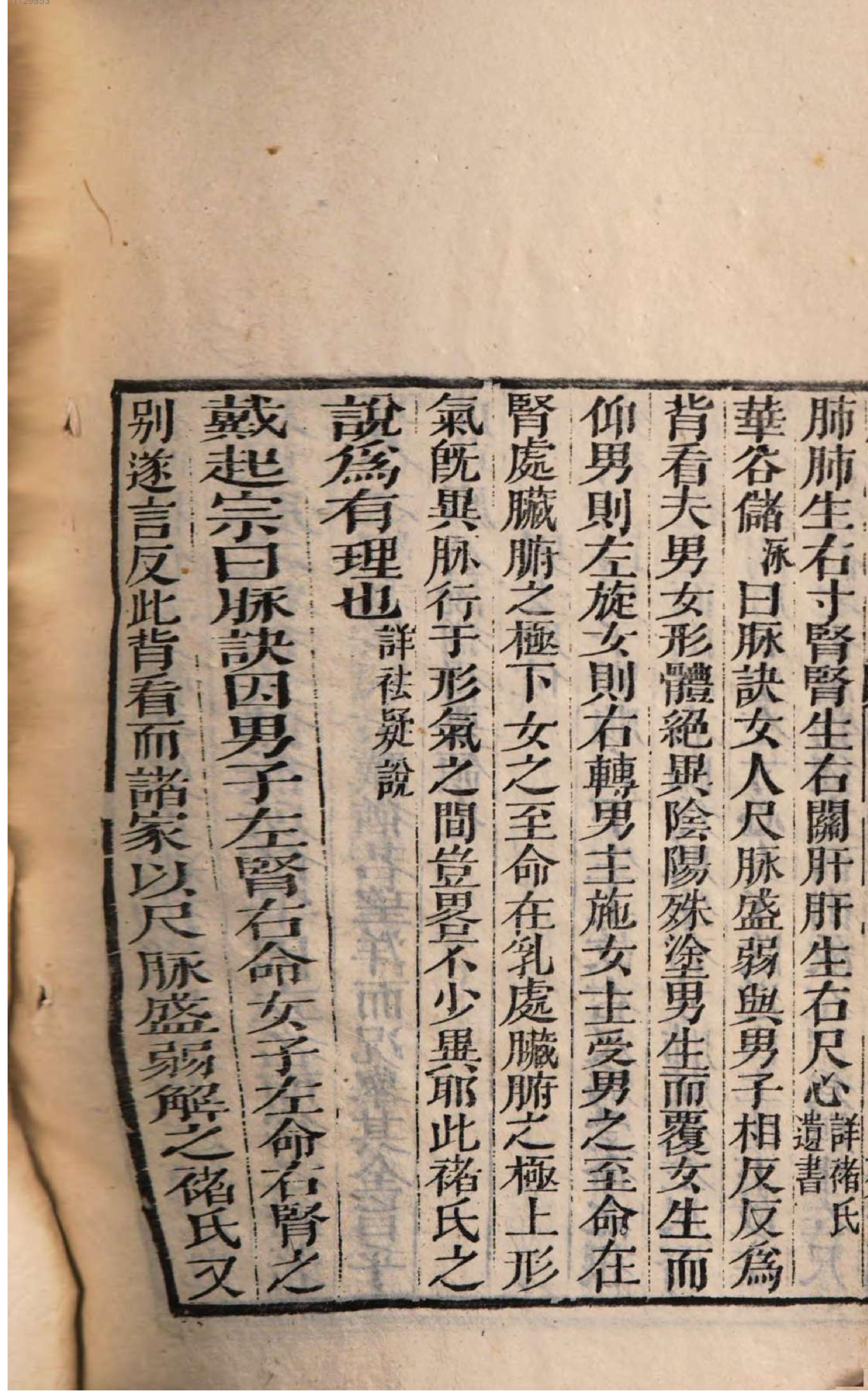 芥子园重订本草纲目. 8, 8 ce _ ch. 48-52.pdf_第16页