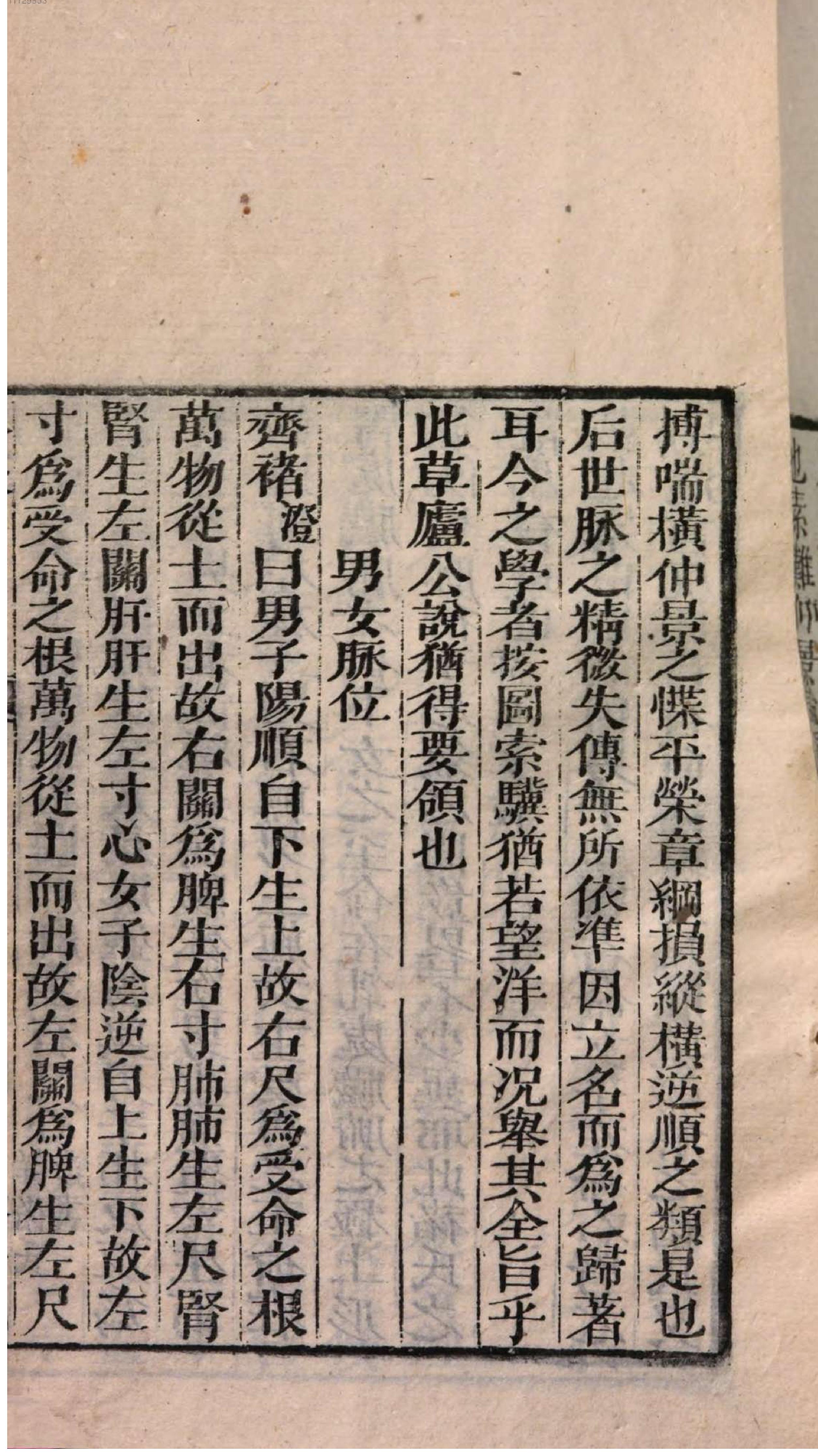 芥子园重订本草纲目. 8, 8 ce _ ch. 48-52.pdf_第17页