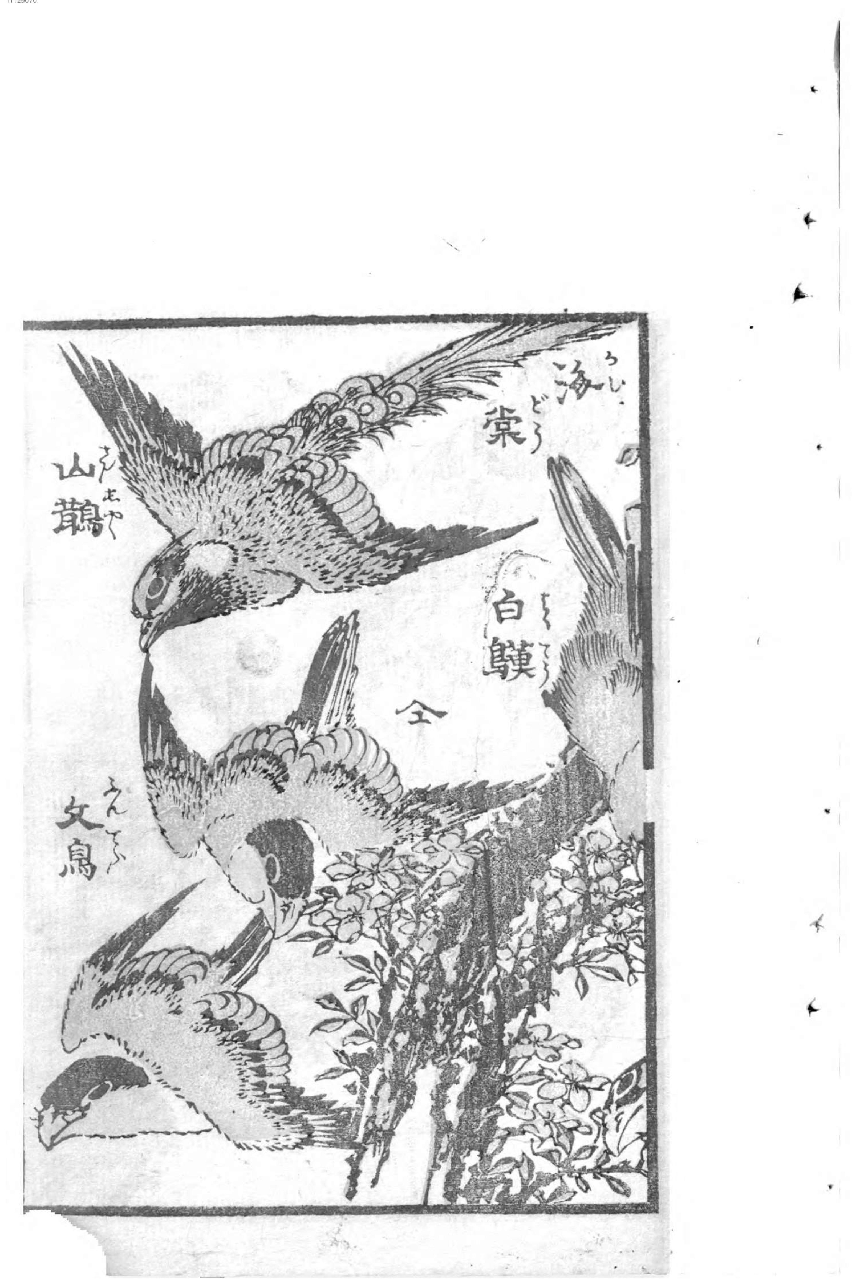 花鸟画传. 2.pdf_第15页