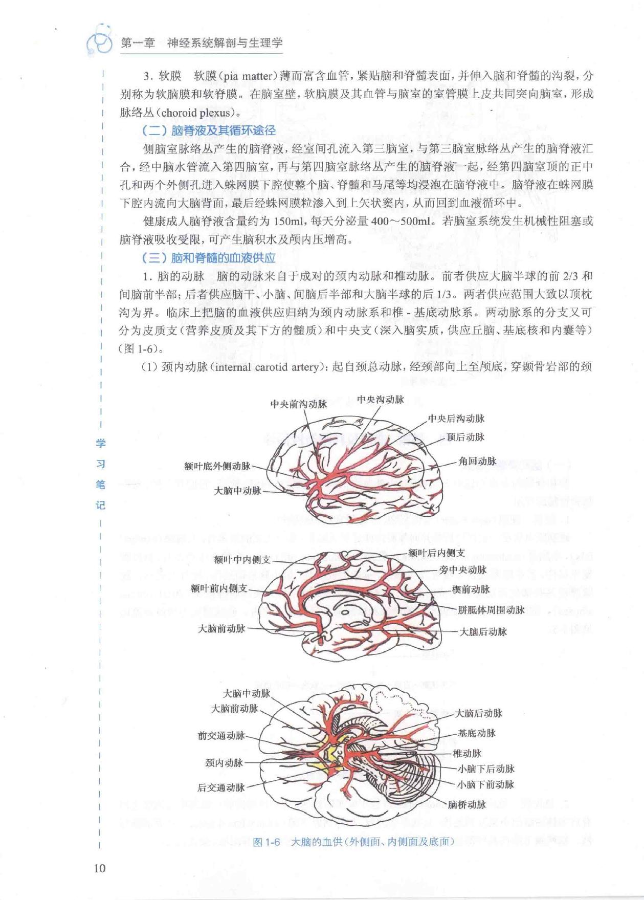 17.外科学 神经外科分册.pdf_第24页