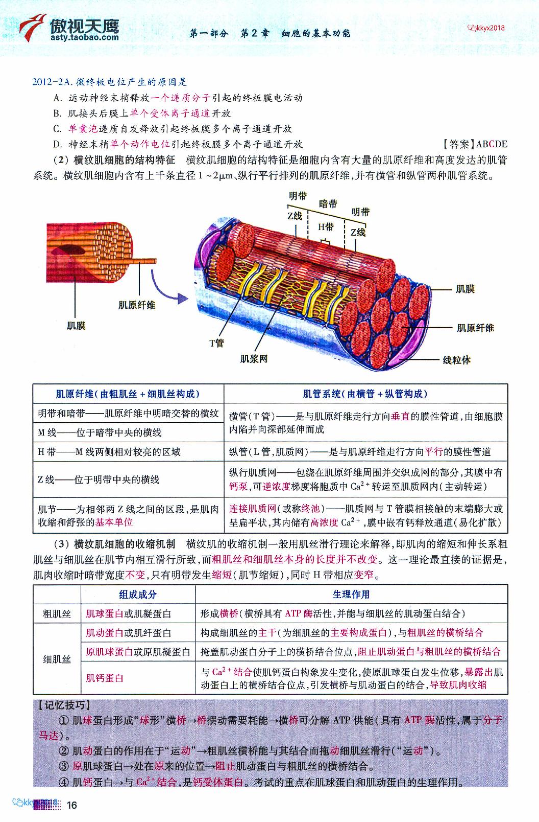 2020傲视天鹰记忆技巧规律总结上.pdf_第21页