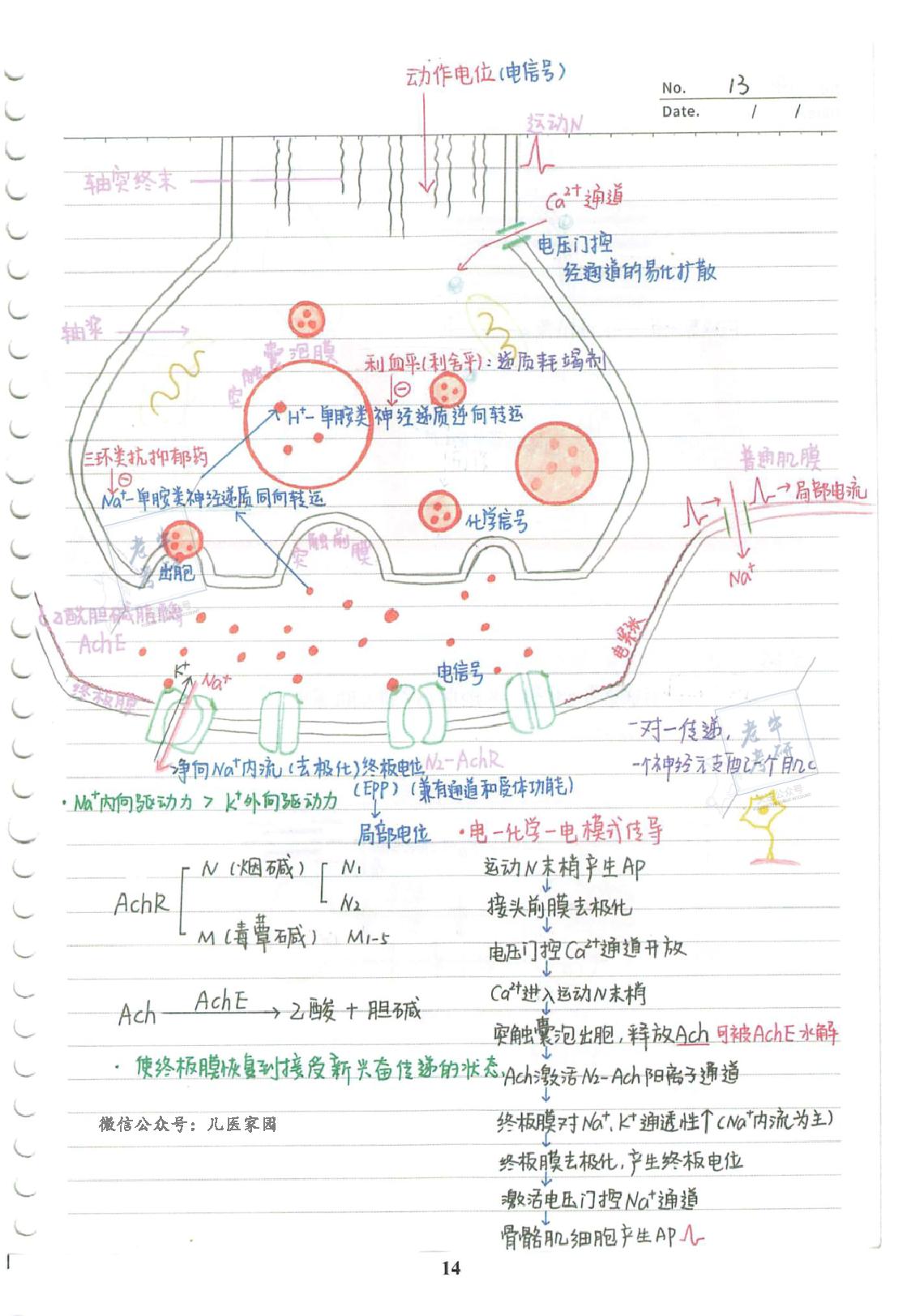 2022考研-西综基础强化班配套手写笔记【必考知识点整理】.pdf_第16页