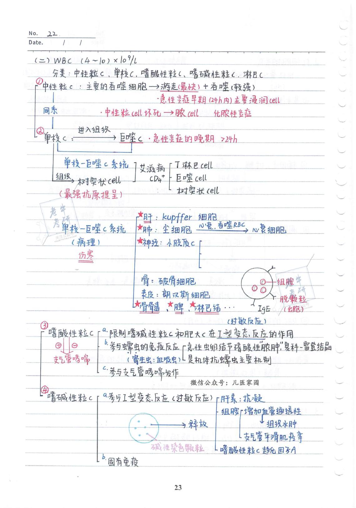 2022考研-西综基础强化班配套手写笔记【必考知识点整理】.pdf_第25页