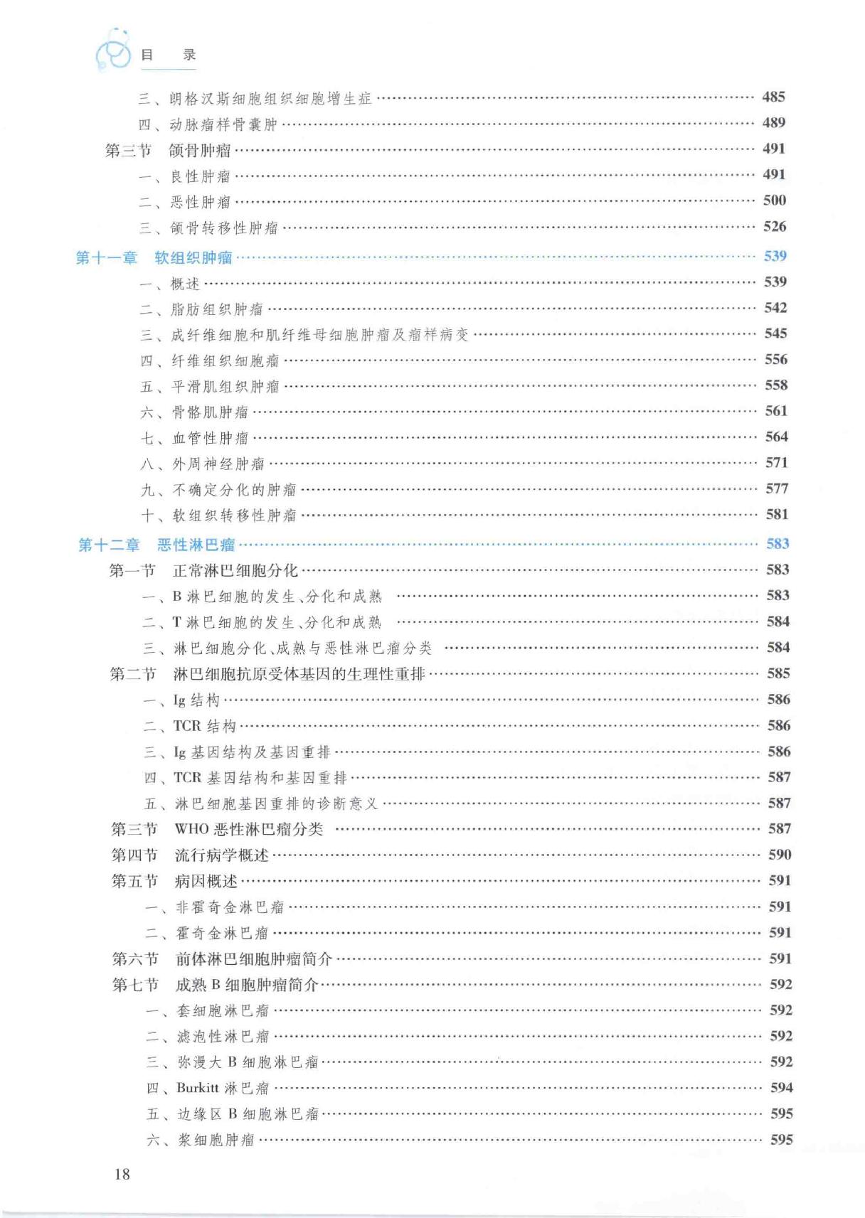 40.口腔医学 口腔病理科分册.pdf_第17页