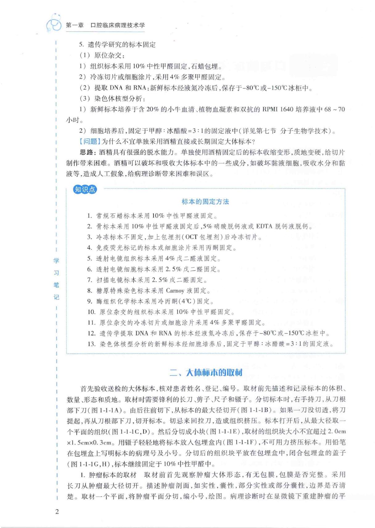 40.口腔医学 口腔病理科分册.pdf_第20页