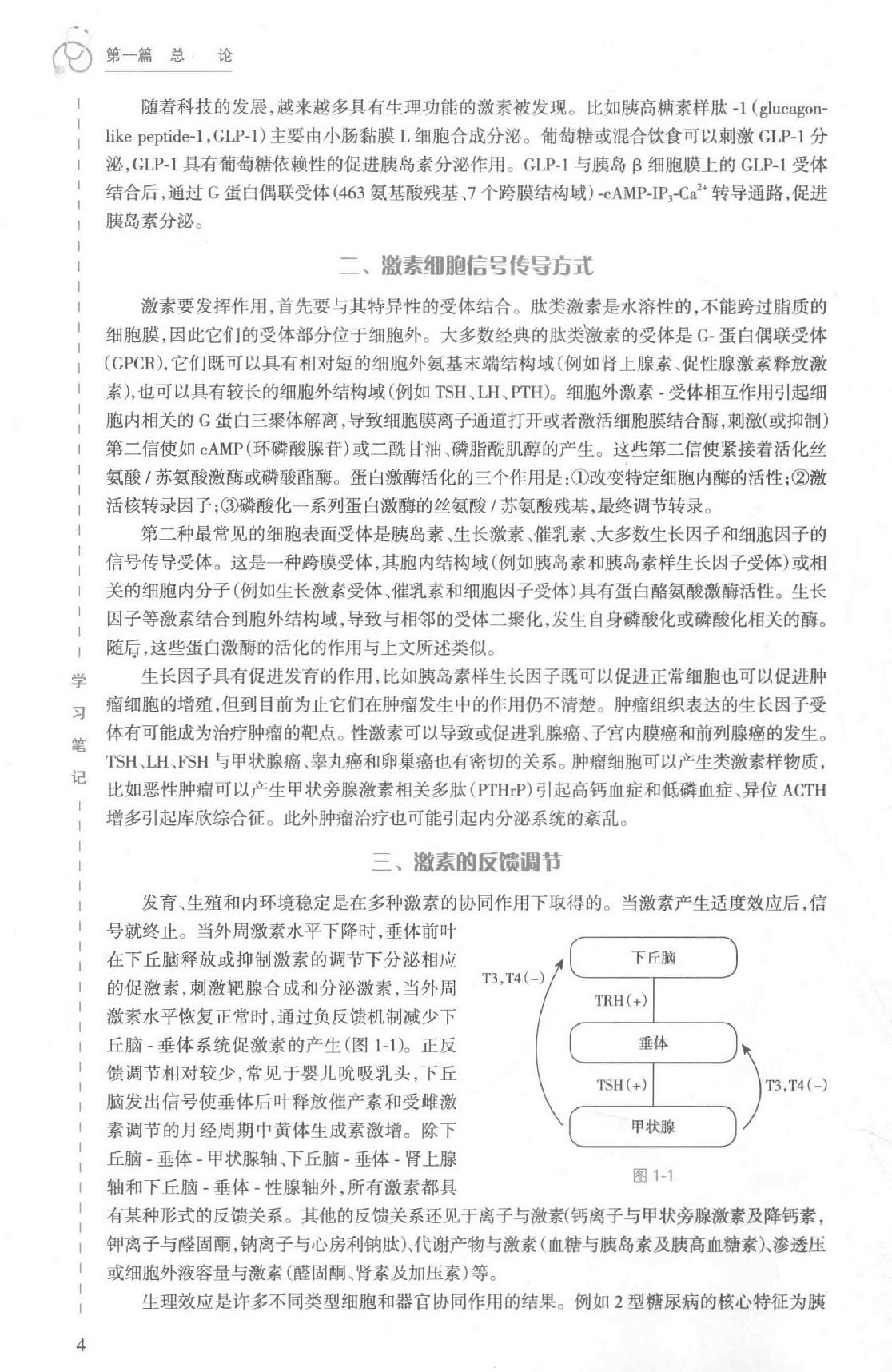 6.内科学 内分泌科分册.pdf_第21页