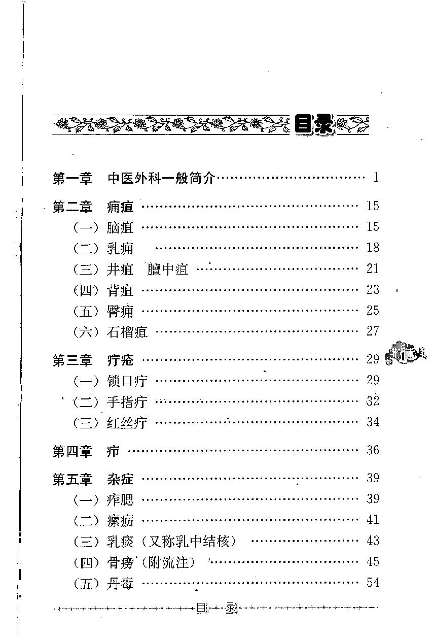 中医外科证治经验（高清版）.pdf_第11页