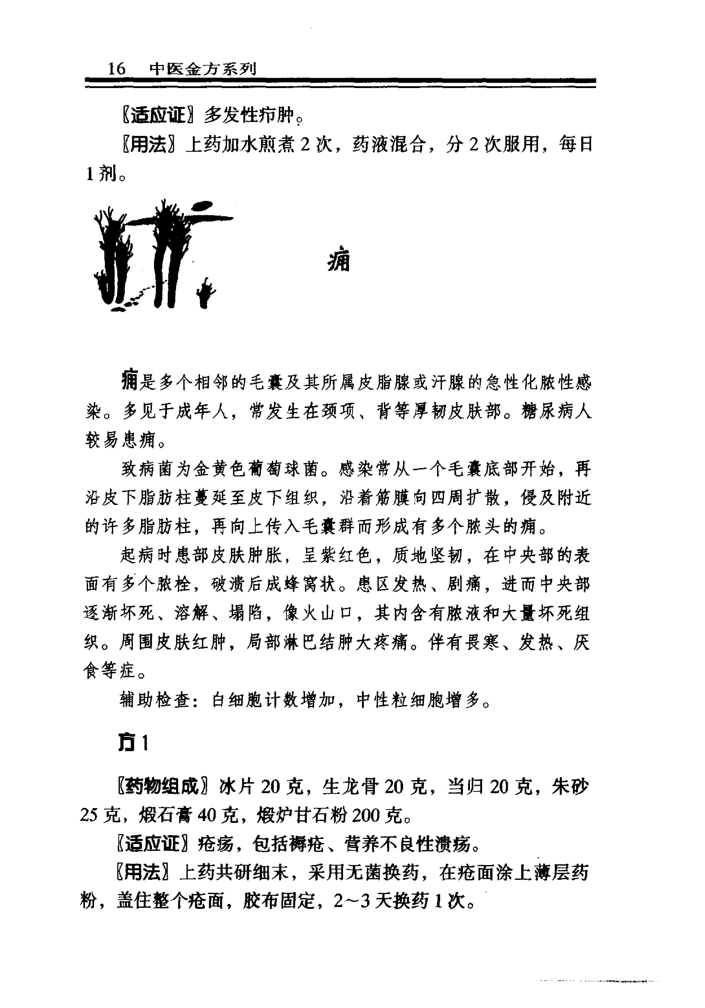 中医金方系列—外科金方（高清版）-6b6d5ca85c88.pdf_第22页