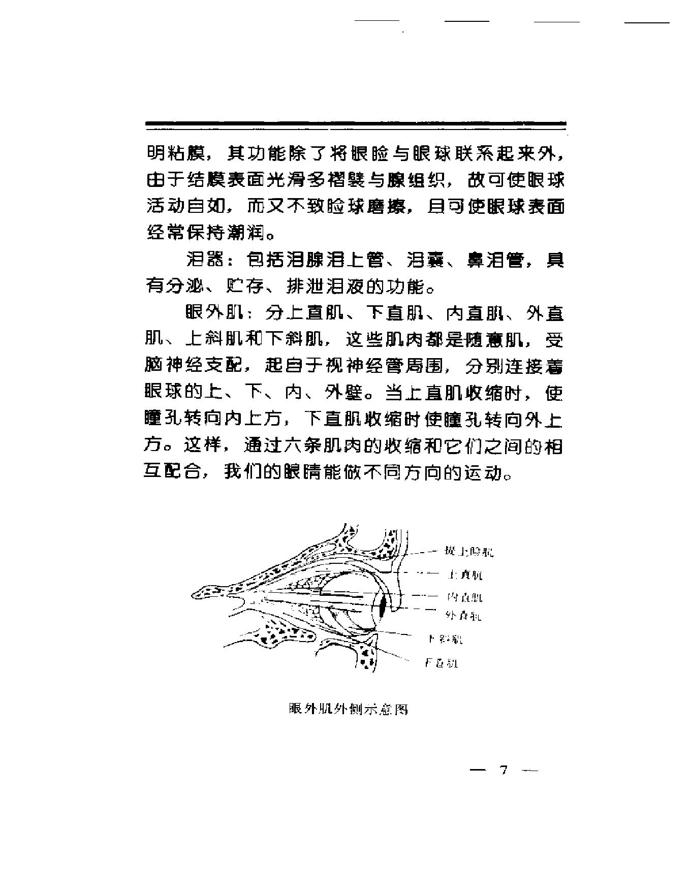 中华睛明技法.pdf_第11页