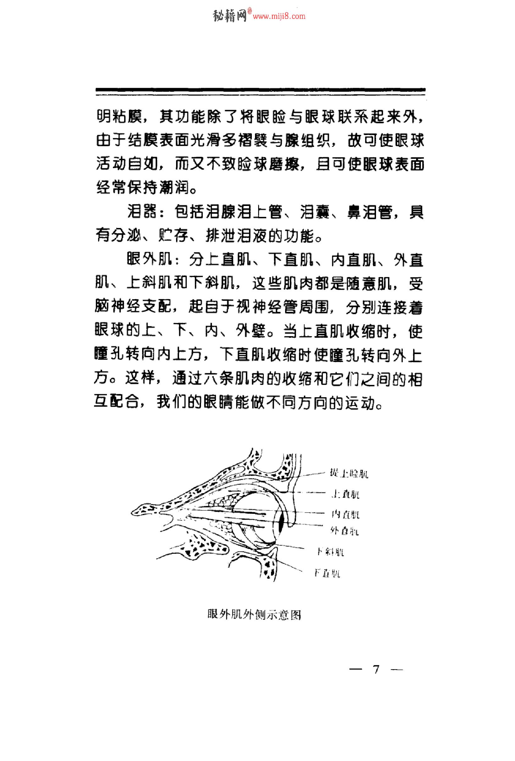 中华睛明技法_10031628_莫一凡著_北京市：...-849f1cffeb3a.pdf_第16页