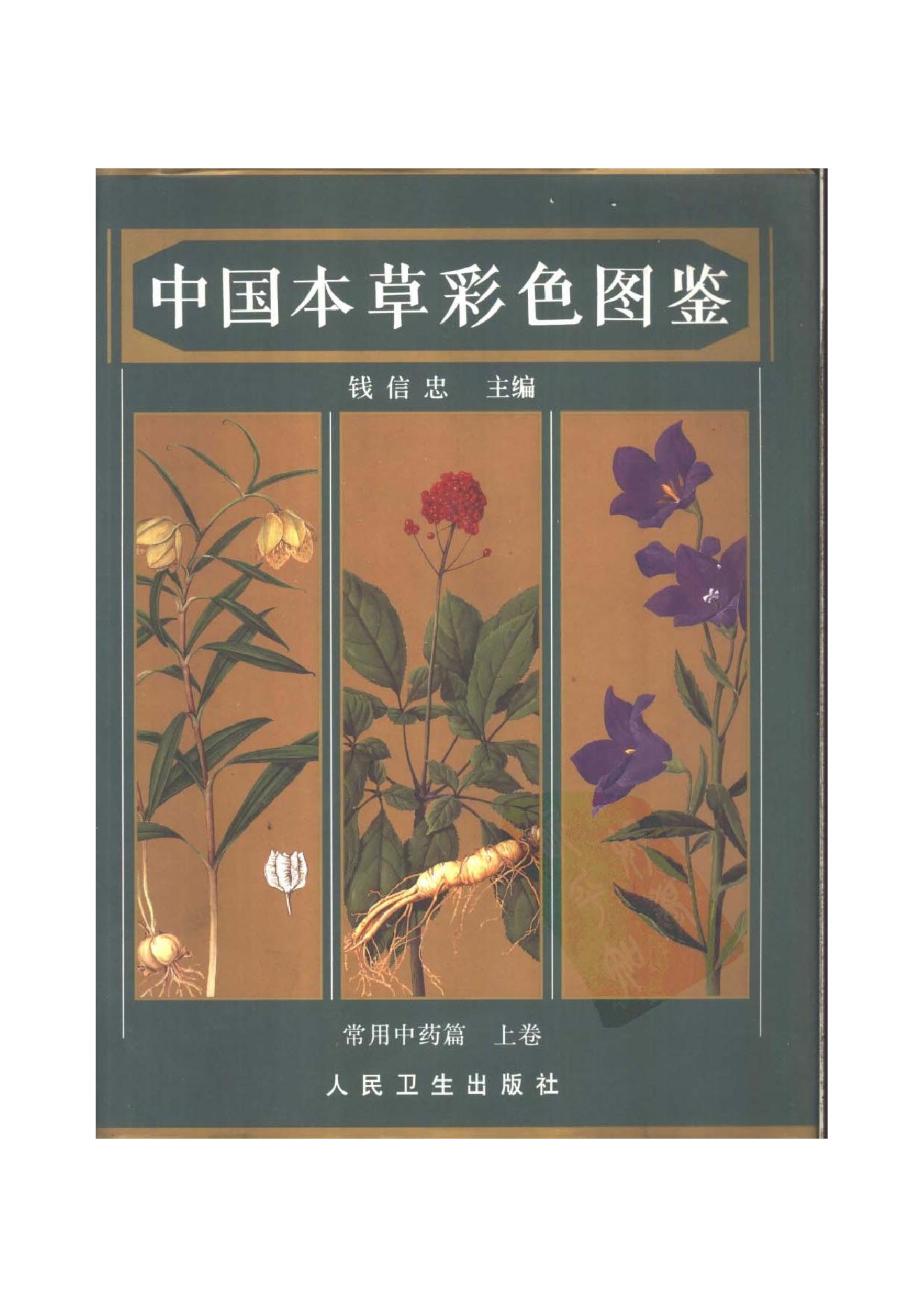 中国本草彩色图鉴（常用中药篇）（上卷）（钱信忠）.pdf_第1页