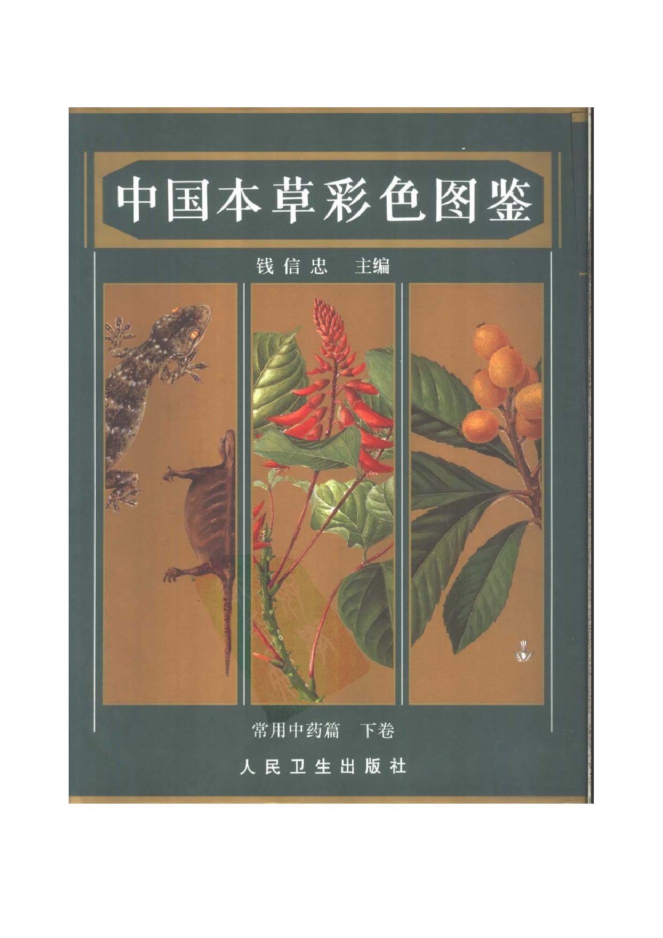 中国本草彩色图鉴（常用中药篇）（下卷）（钱信忠）.pdf_第1页