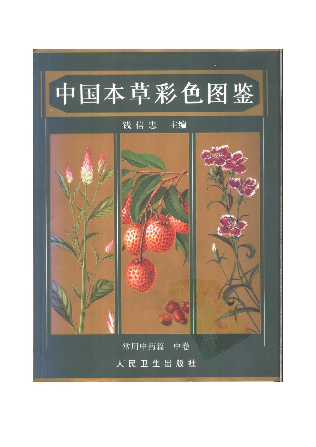 中国本草彩色图鉴（常用中药篇）（中卷）（钱信忠）.pdf_第1页