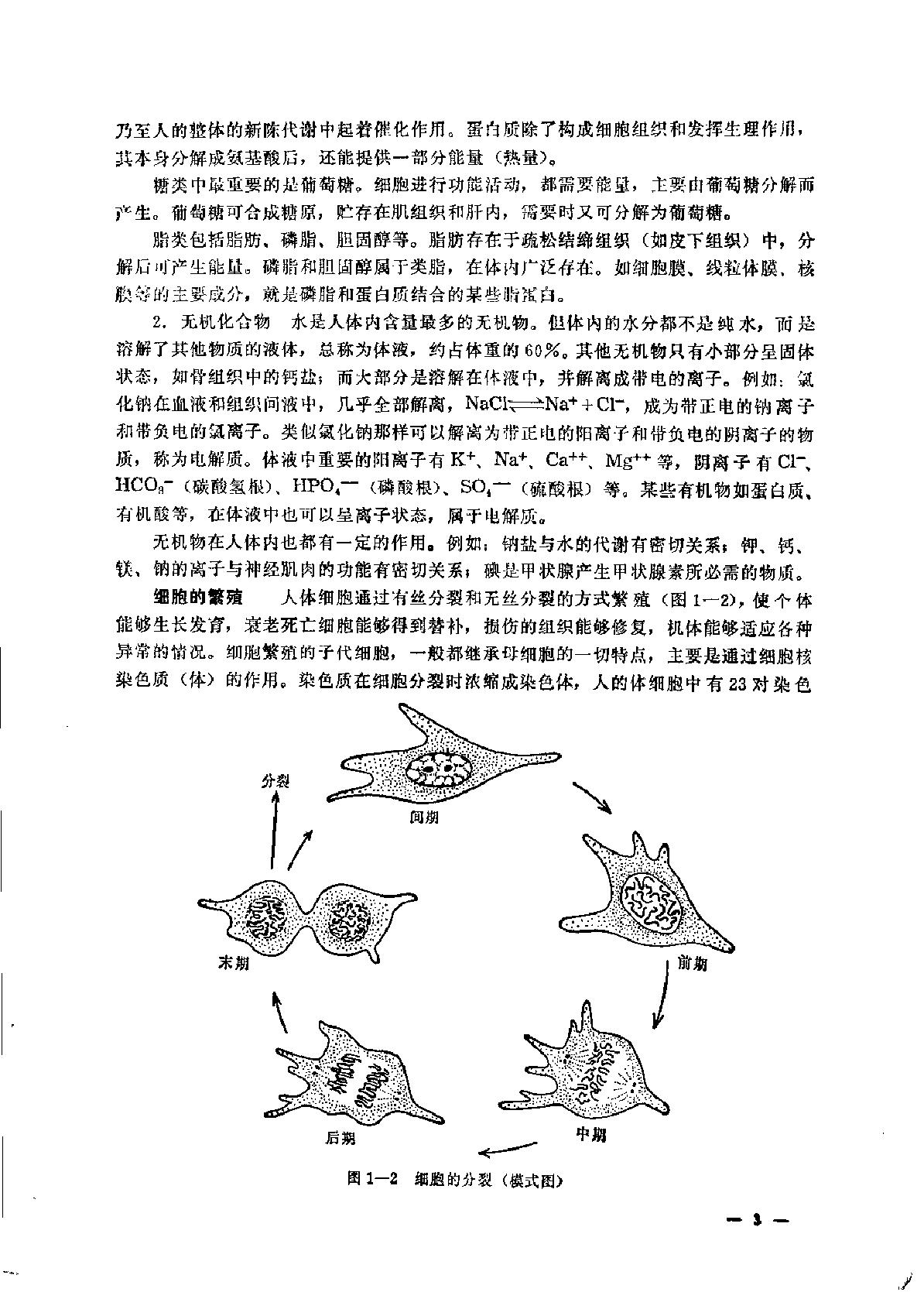 中国赤脚医生教材 试用本 上 人民卫生出版社.pdf_第15页