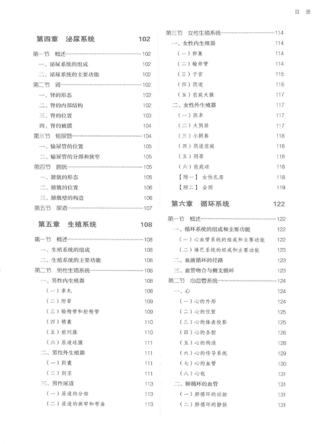 人体解剖学.pdf_第12页